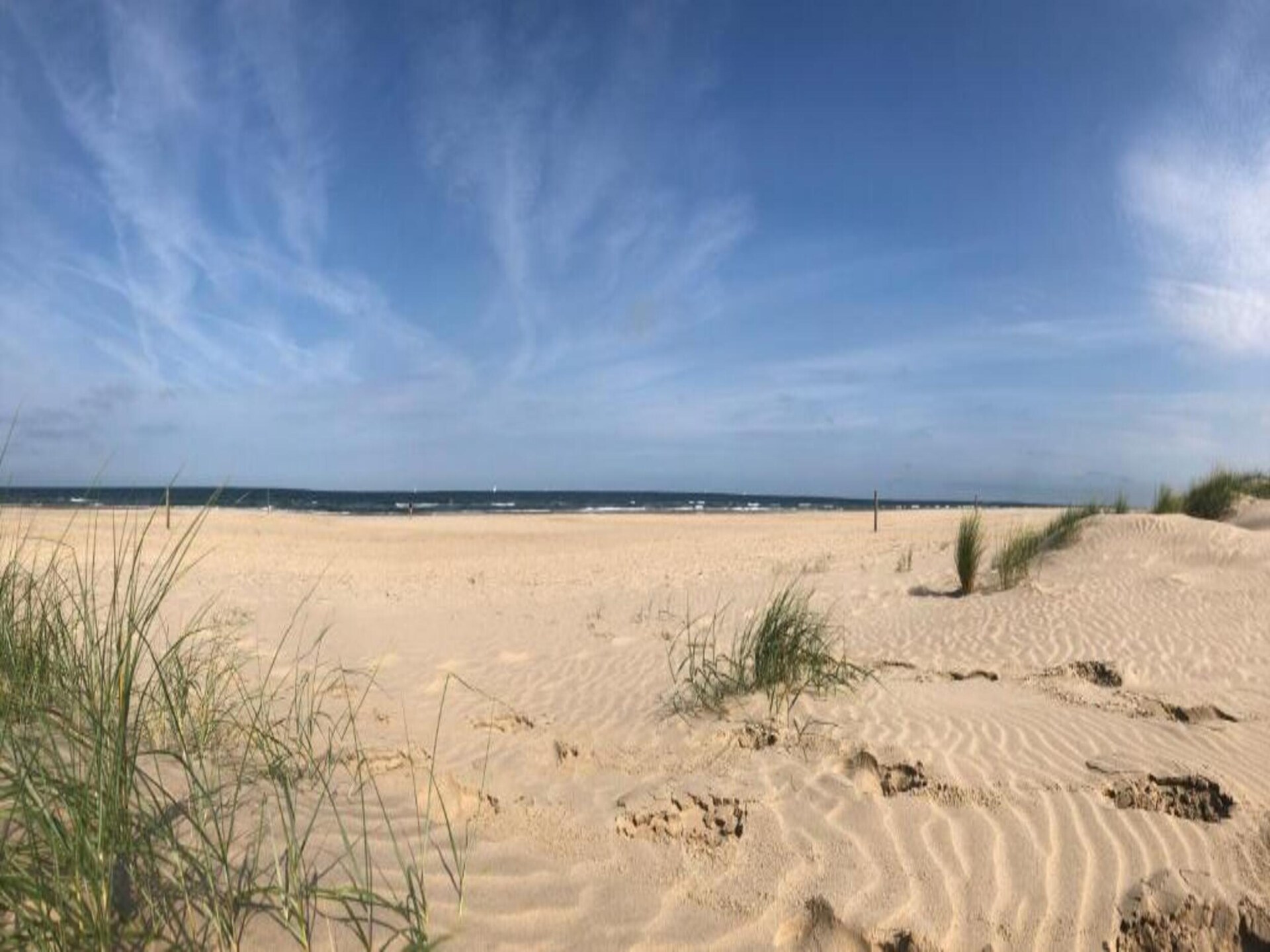 Boshof: Vrijstaand vakantiehuis in het bos bij Schoorlse Duinen - foto 25