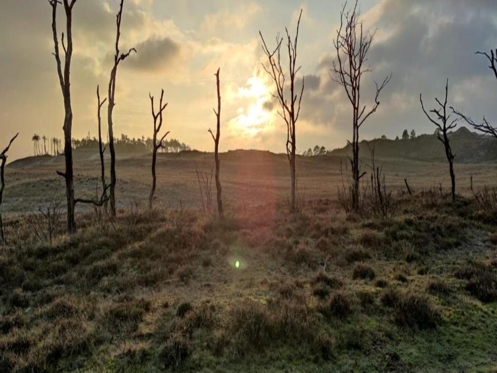 Boshof: Vrijstaand vakantiehuis in het bos bij Schoorlse Duinen - foto 32