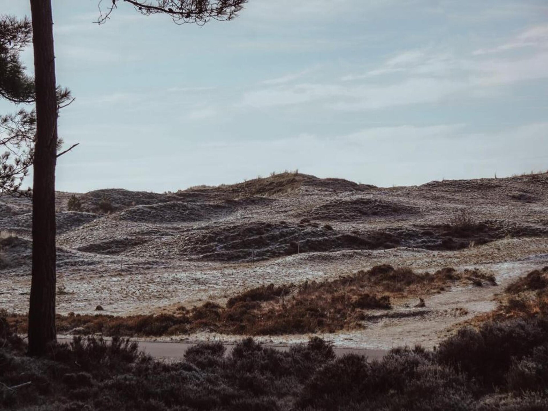 Boshof: Vrijstaand vakantiehuis in het bos bij Schoorlse Duinen - foto 34