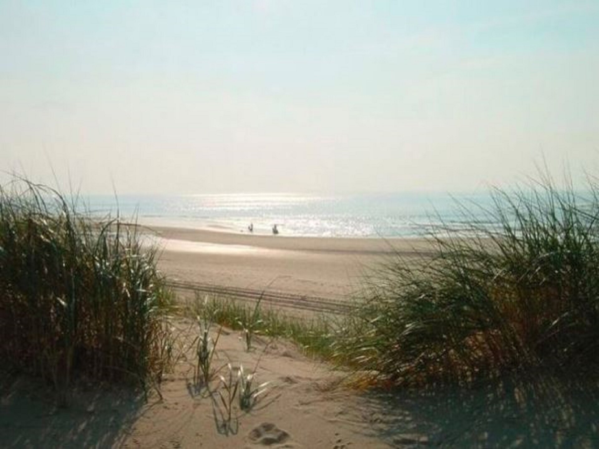 Helmgras I: Gezellig vakantiehuis op 100m van het strand in Egmond aan Zee - foto 20