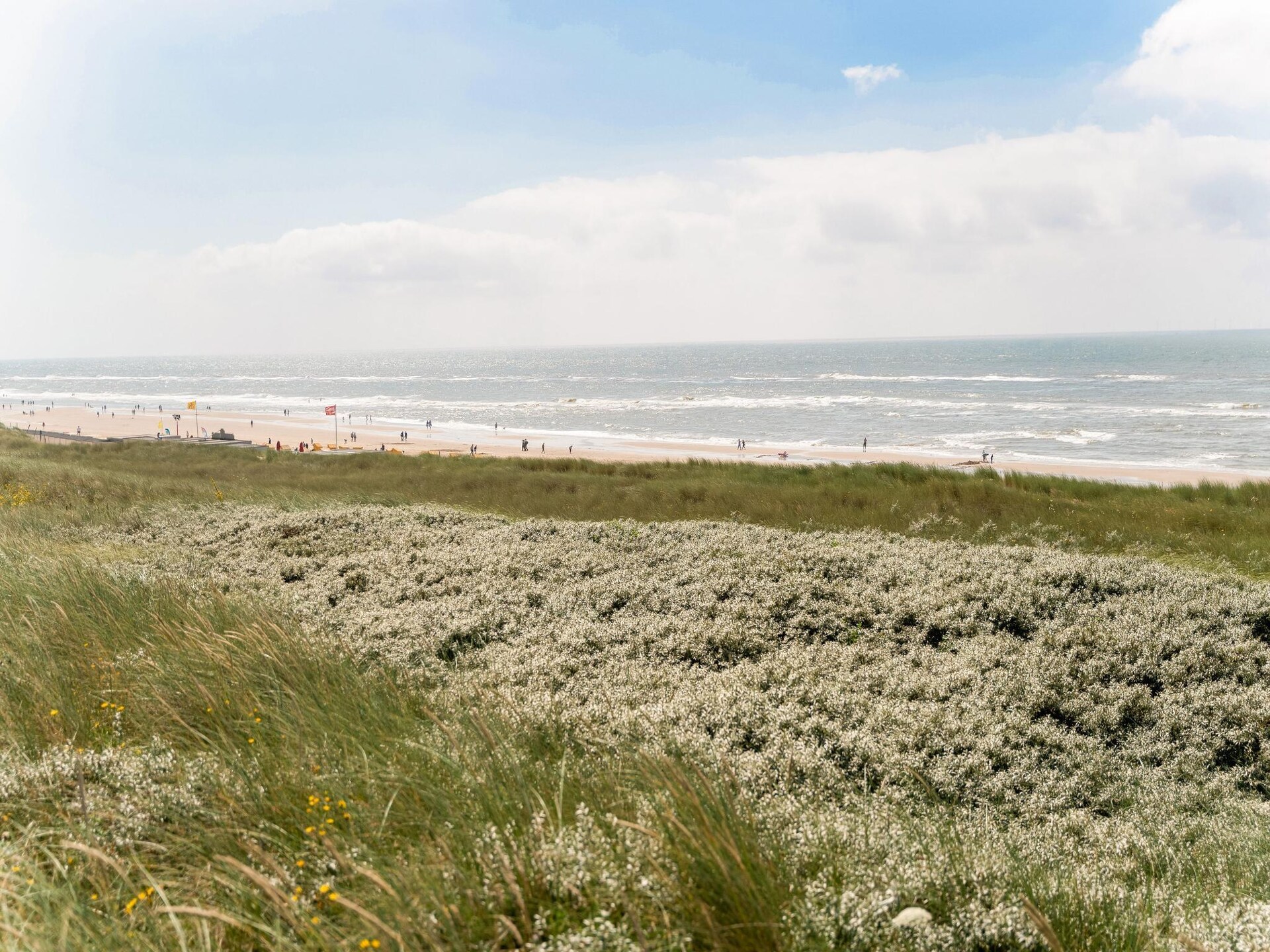 Helmgras I: Gezellig vakantiehuis op 100m van het strand in Egmond aan Zee - foto 10