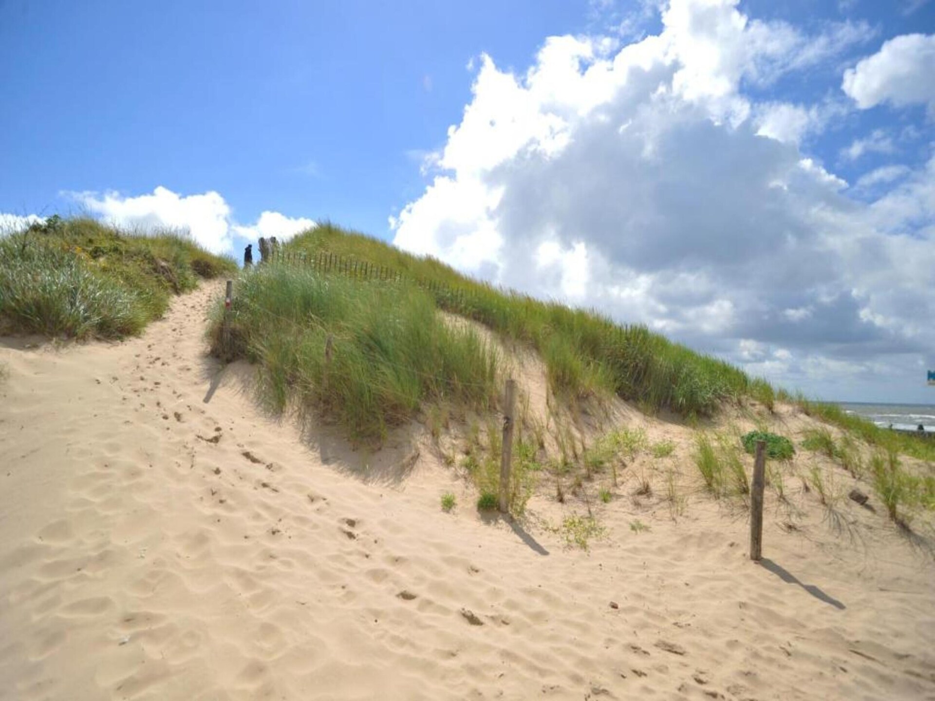 Helmgras I: Gezellig vakantiehuis op 100m van het strand in Egmond aan Zee - foto 22