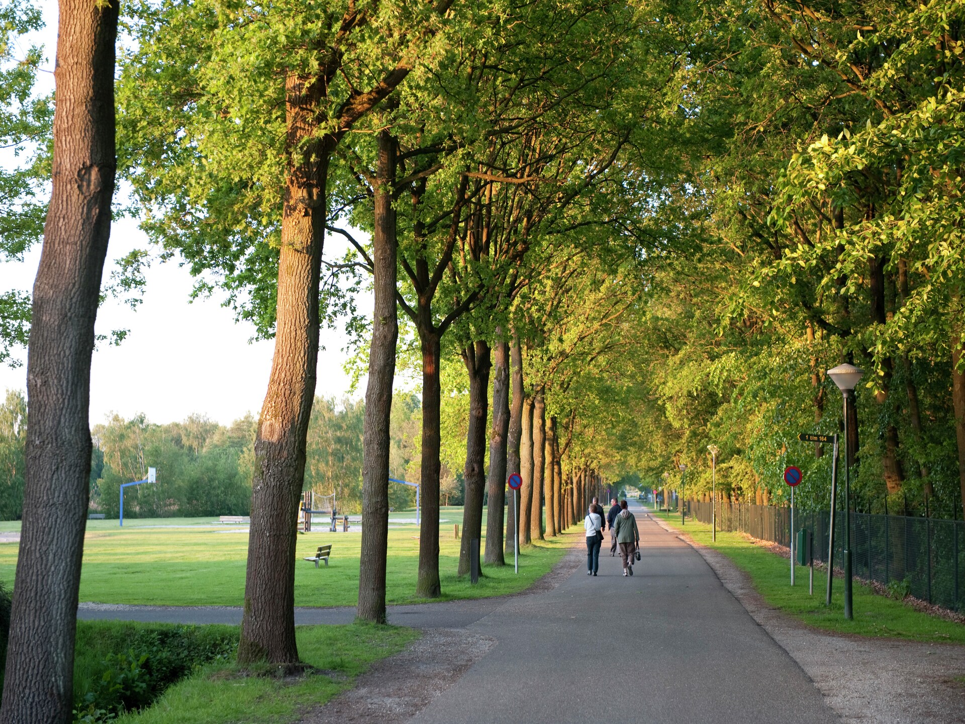 Luxueuze vrijstaande villa in Arcen met wellness en thermale baden - foto 25