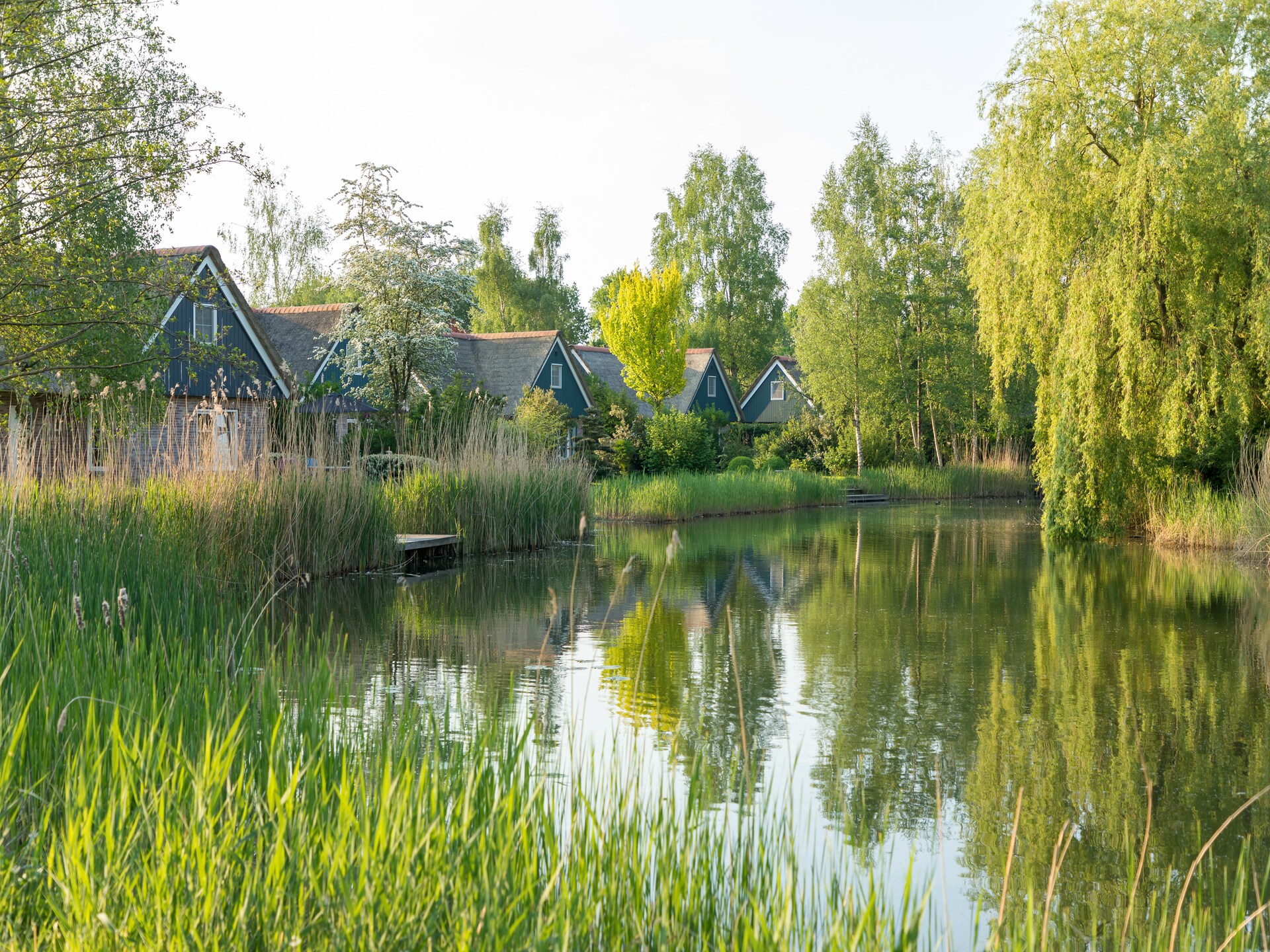 Rietgedekte 8-persoonsvilla in hartje Weerribben - foto 19
