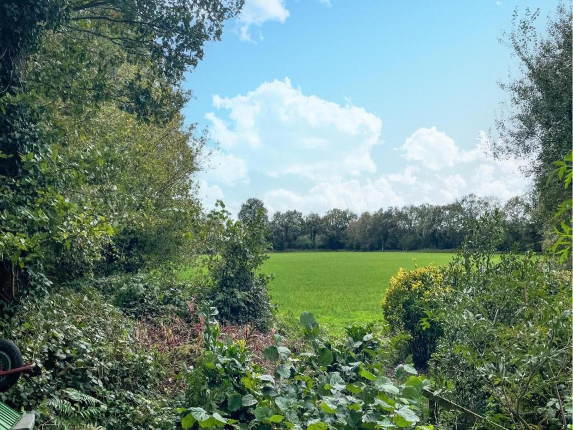 Rietgedekte 8-persoonsvilla in hartje Weerribben - foto 35