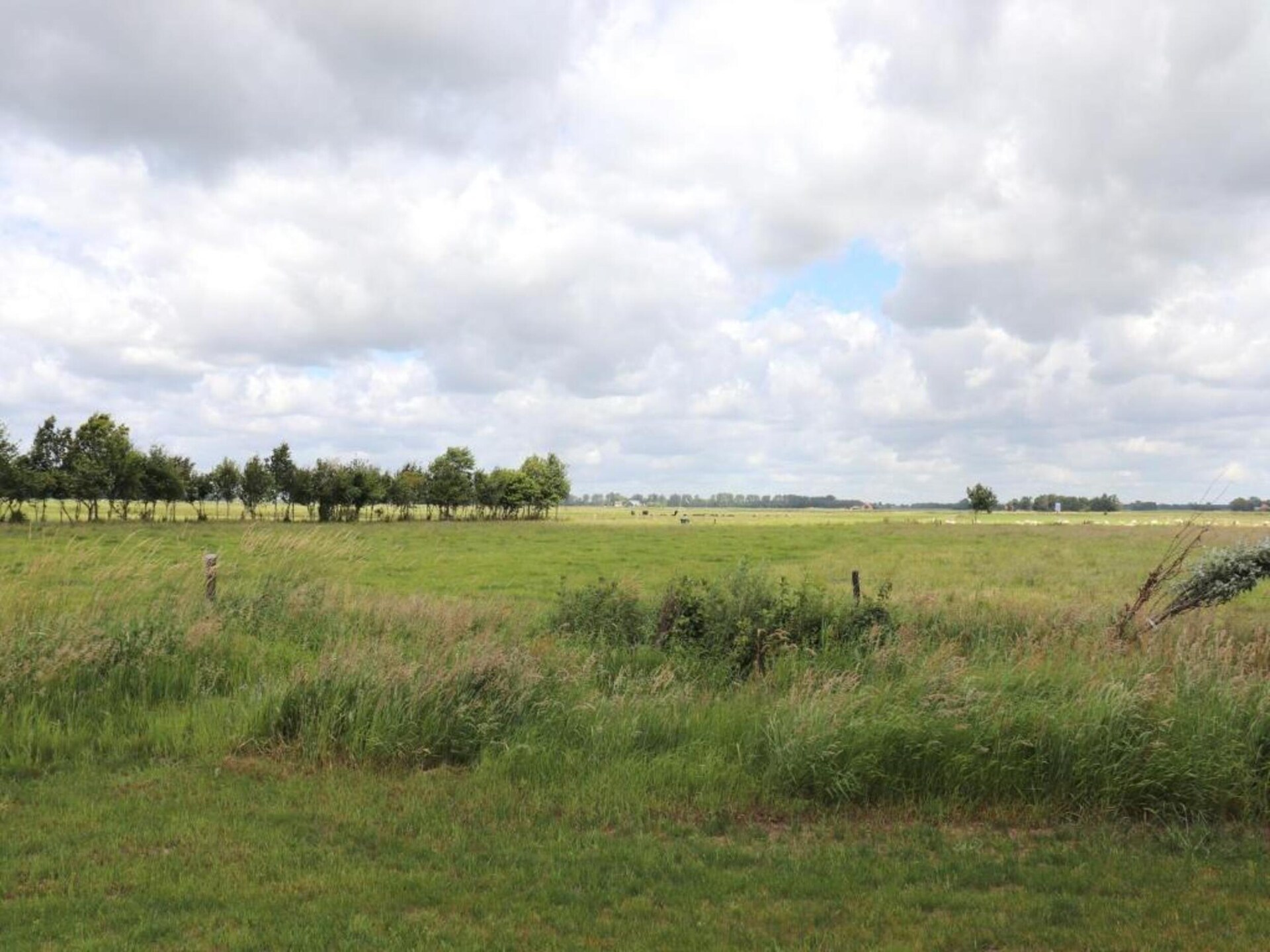 Rietgedekte 8-persoonsvilla in hartje Weerribben - foto 37