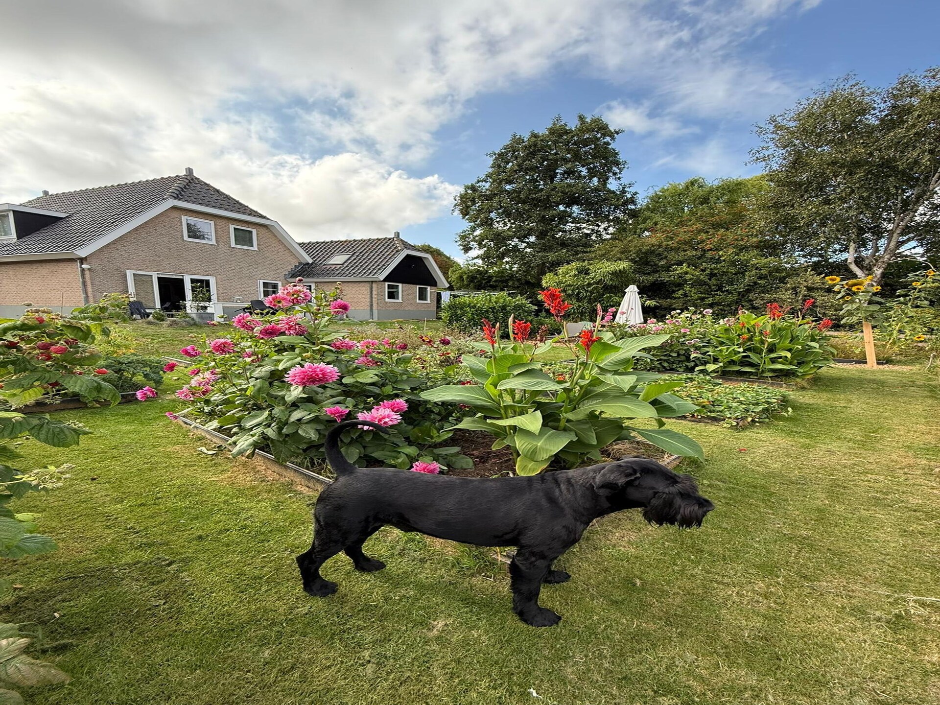 Moderne bosvilla in Groet: luxe, natuur en strand dichtbij - foto 26
