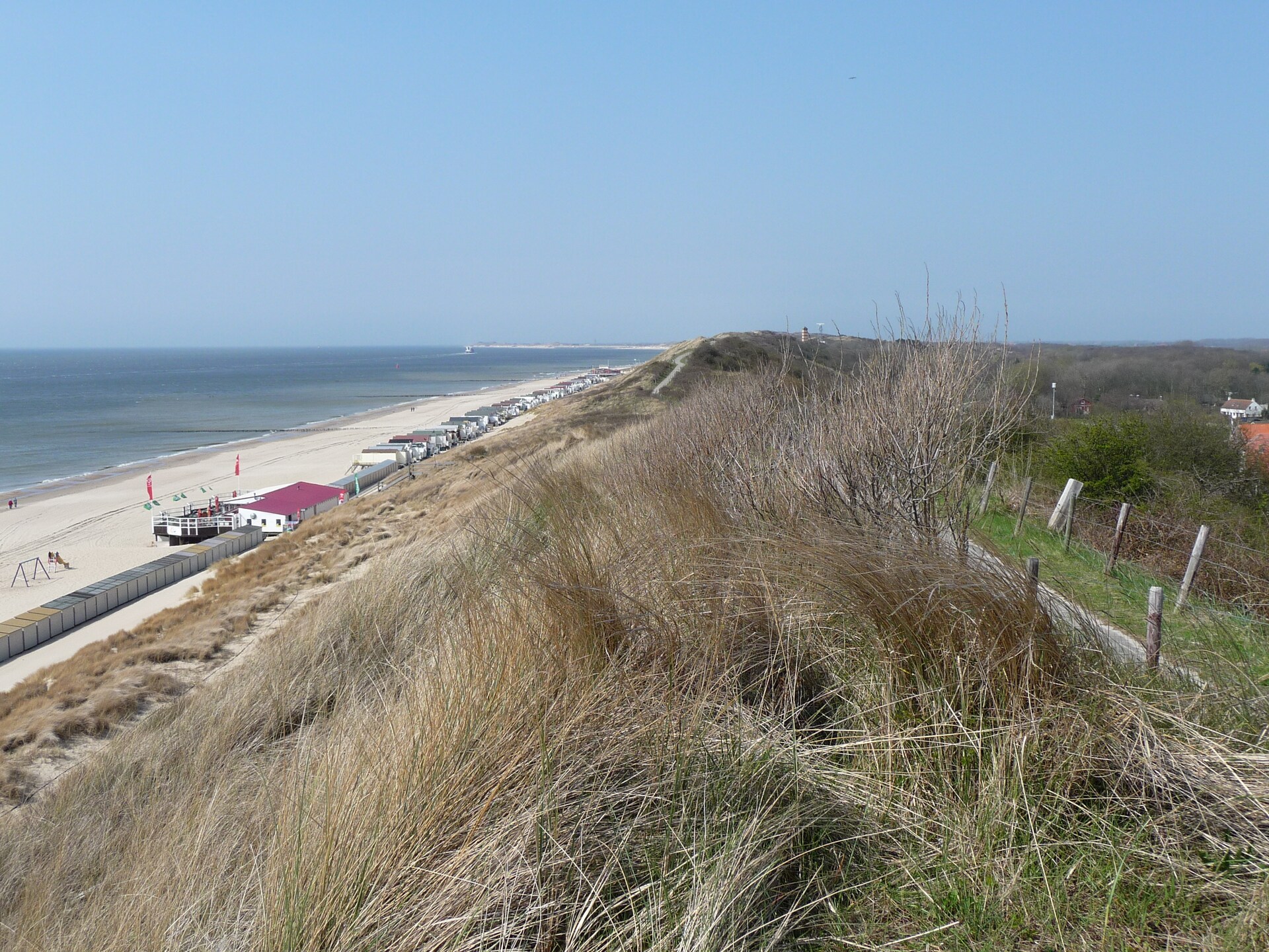 Zeeroos: Vrijstaand boshuis op 200m van het strand in Koudekerke - foto 34