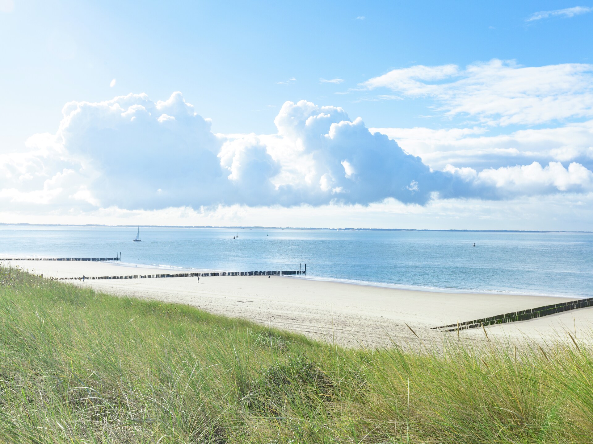 Zeeroos: Vrijstaand boshuis op 200m van het strand in Koudekerke - foto 28