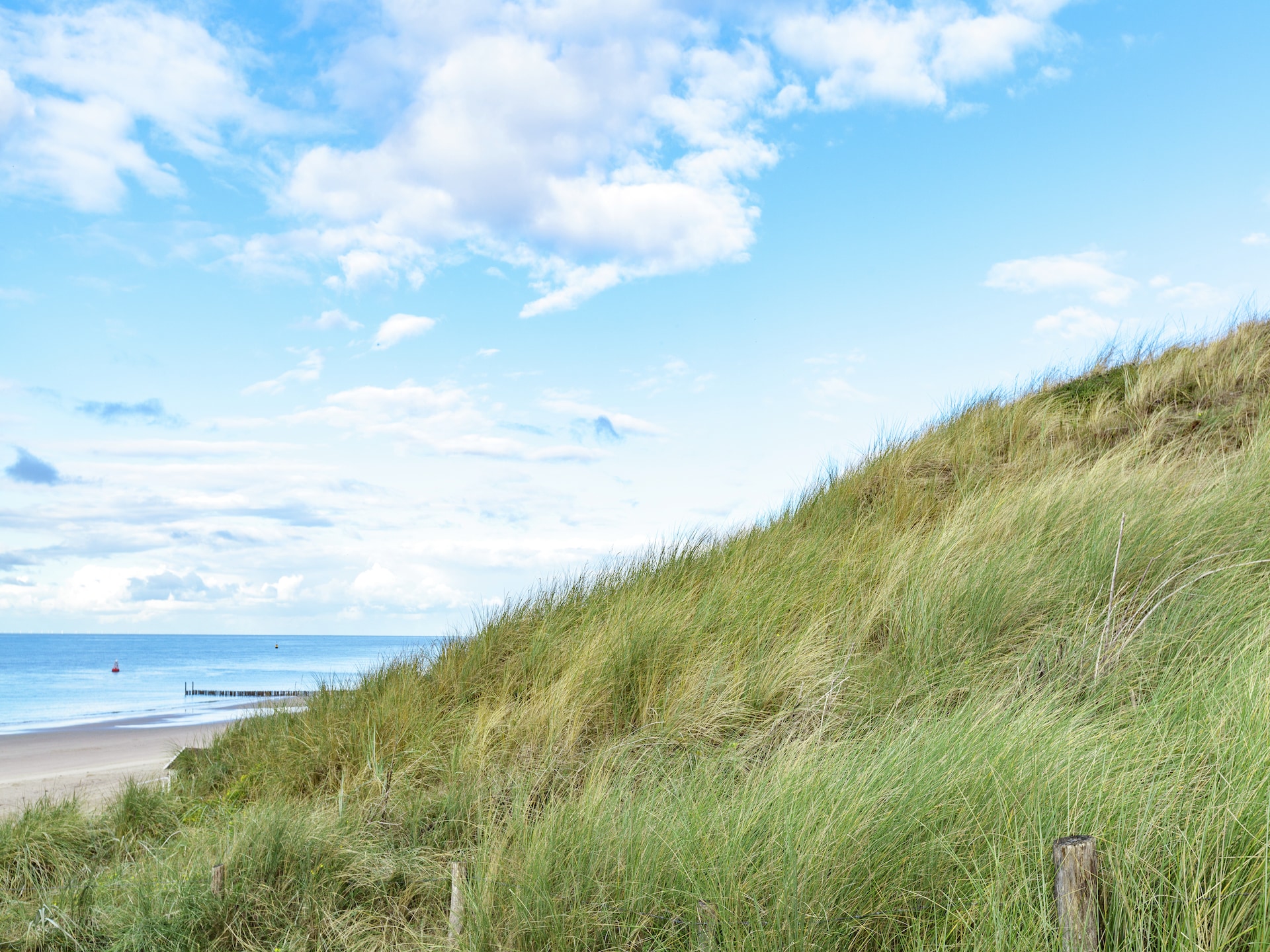 Zeeroos: Vrijstaand boshuis op 200m van het strand in Koudekerke - foto 29