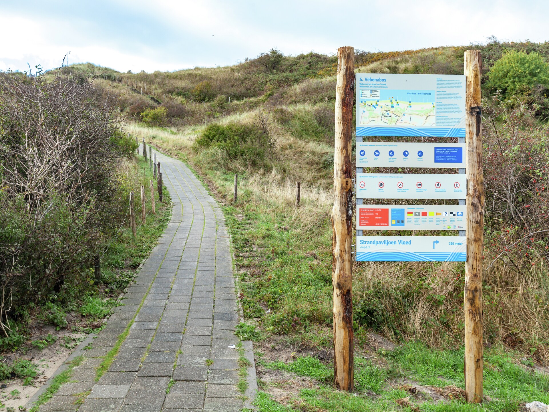 Zeeroos: Vrijstaand boshuis op 200m van het strand in Koudekerke - foto 27