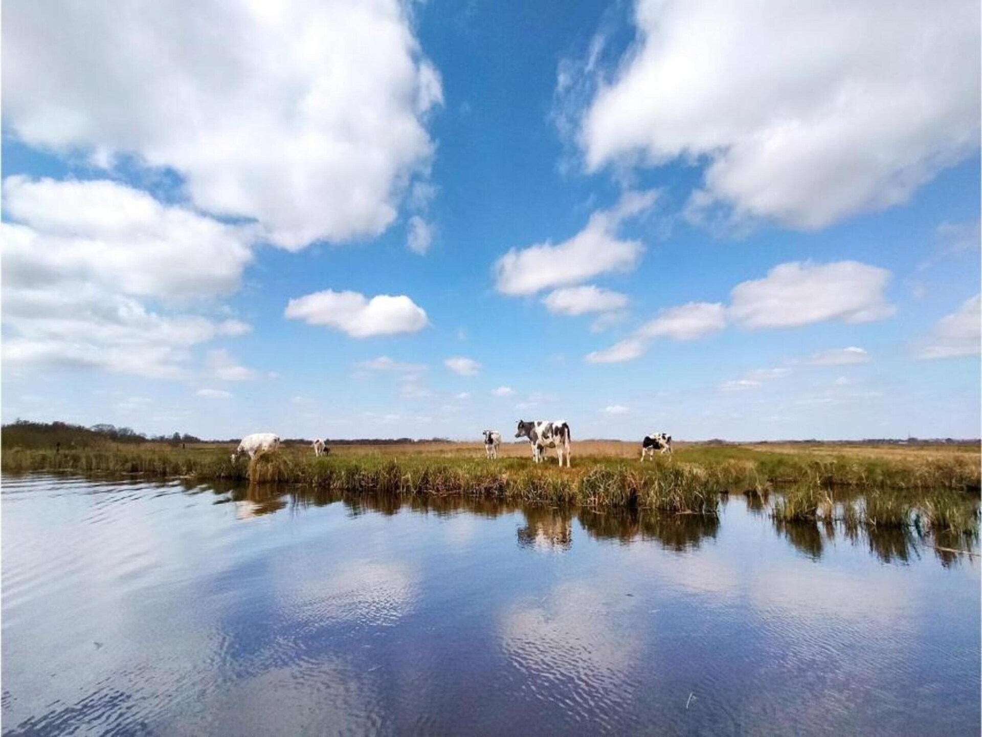 Vrijstaand landhuis aan het water in hartje Giethoorn - foto 32