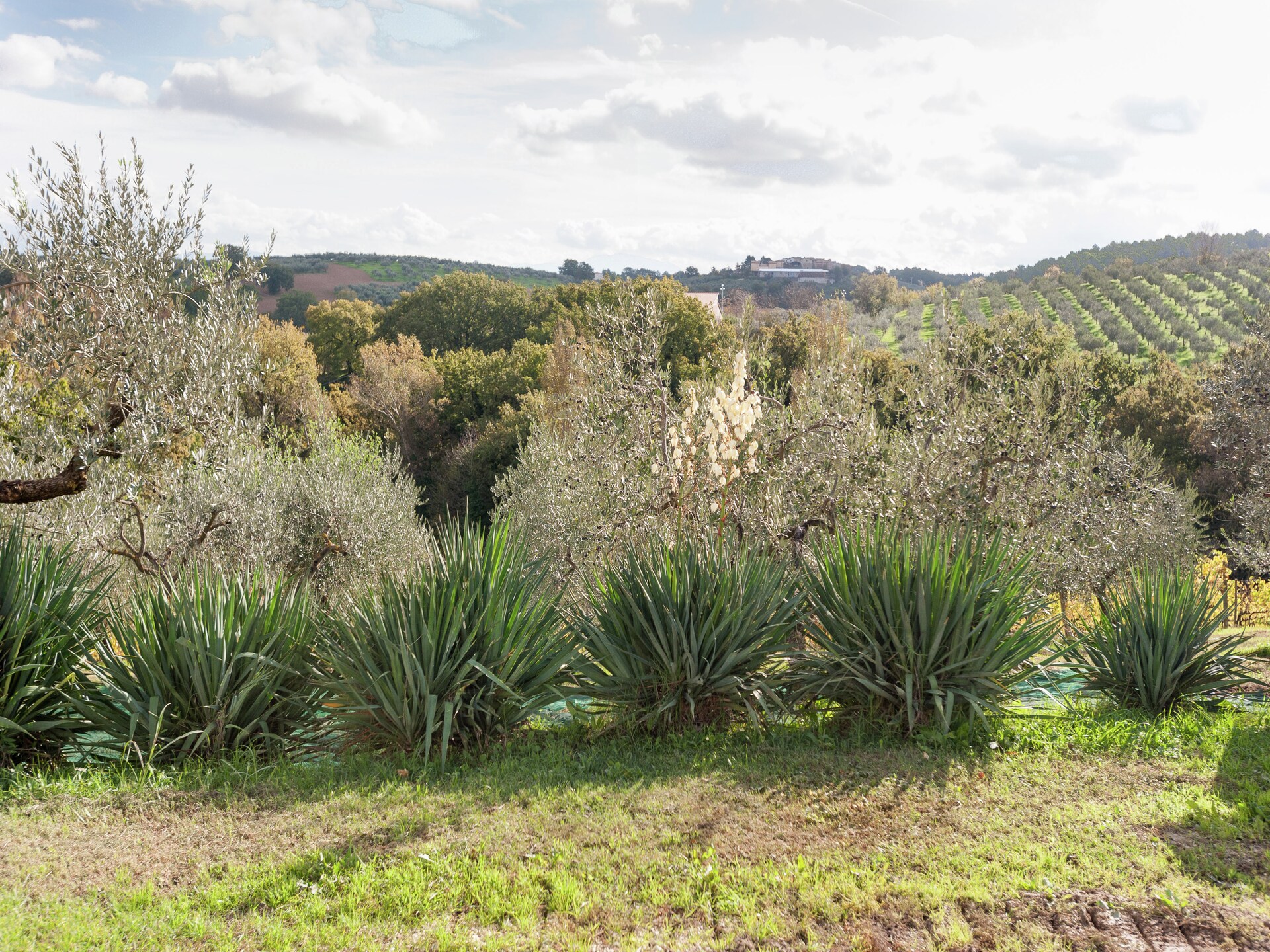 Authentiek boerderijappartement in de Umbrische heuvels bij Giano Dell'umbria - foto 26