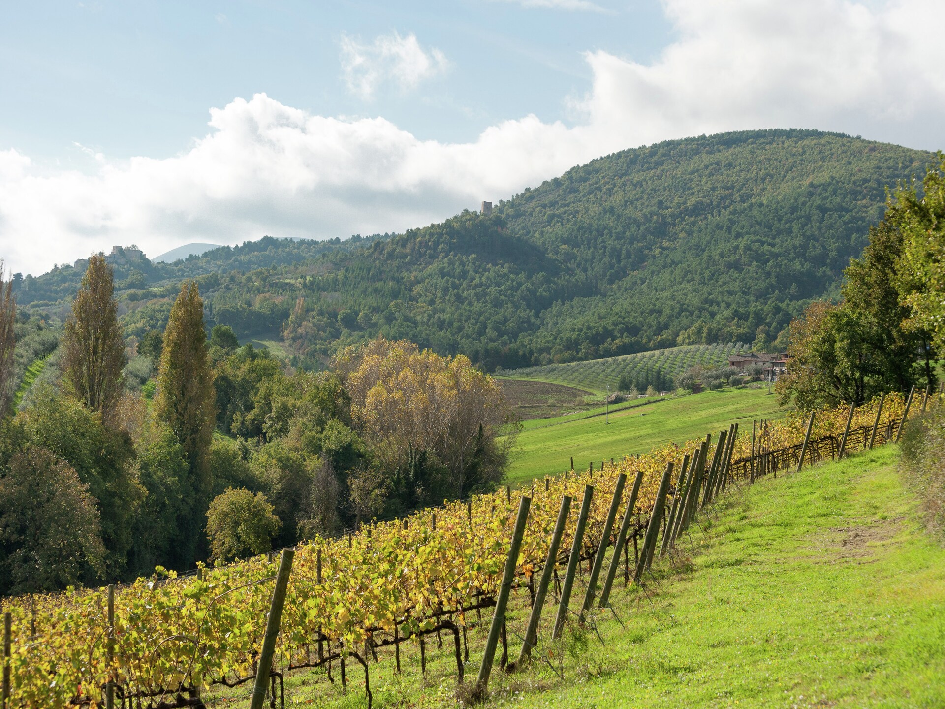 Authentiek boerderijappartement in de Umbrische heuvels bij Giano Dell'umbria - foto 34