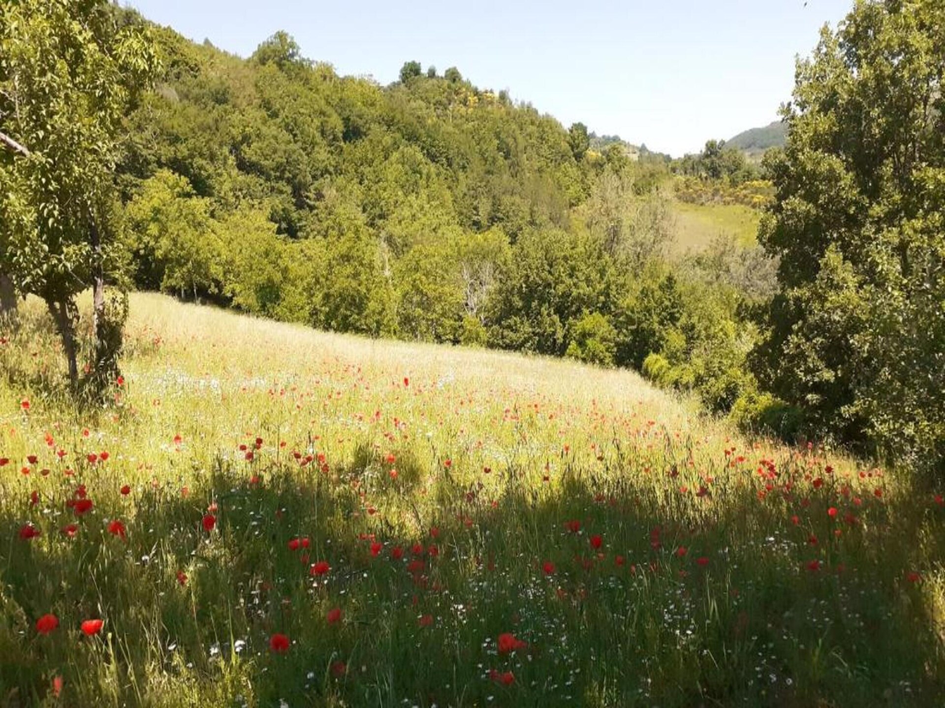 Authentiek boerderijappartement in de Umbrische heuvels bij Giano Dell'umbria - foto 28