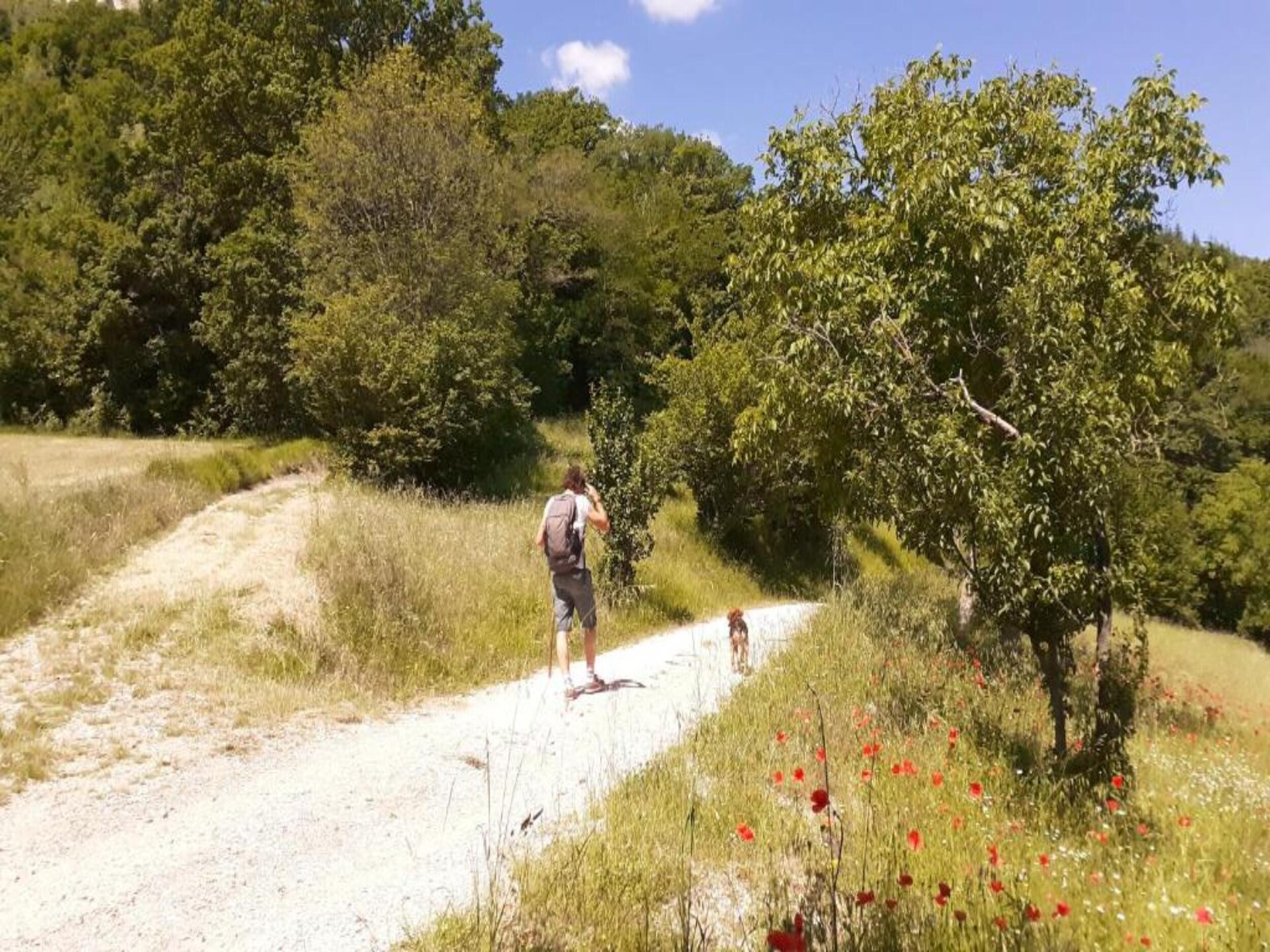 Authentiek boerderijappartement in de Umbrische heuvels bij Giano Dell'umbria - foto 21
