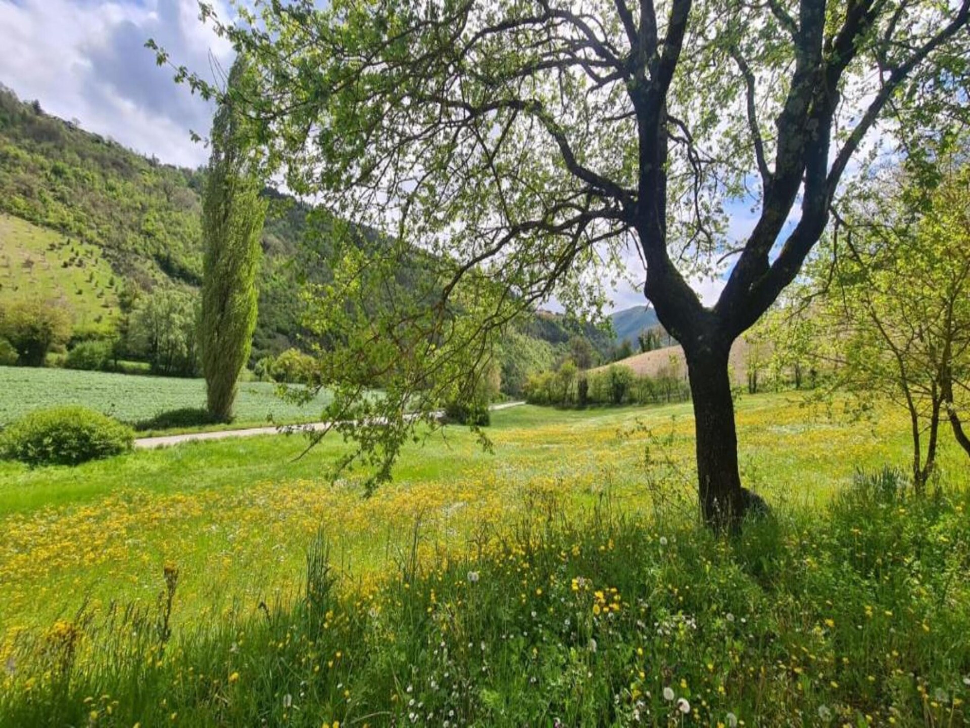 Authentiek boerderijappartement in de Umbrische heuvels bij Giano Dell'umbria - foto 32