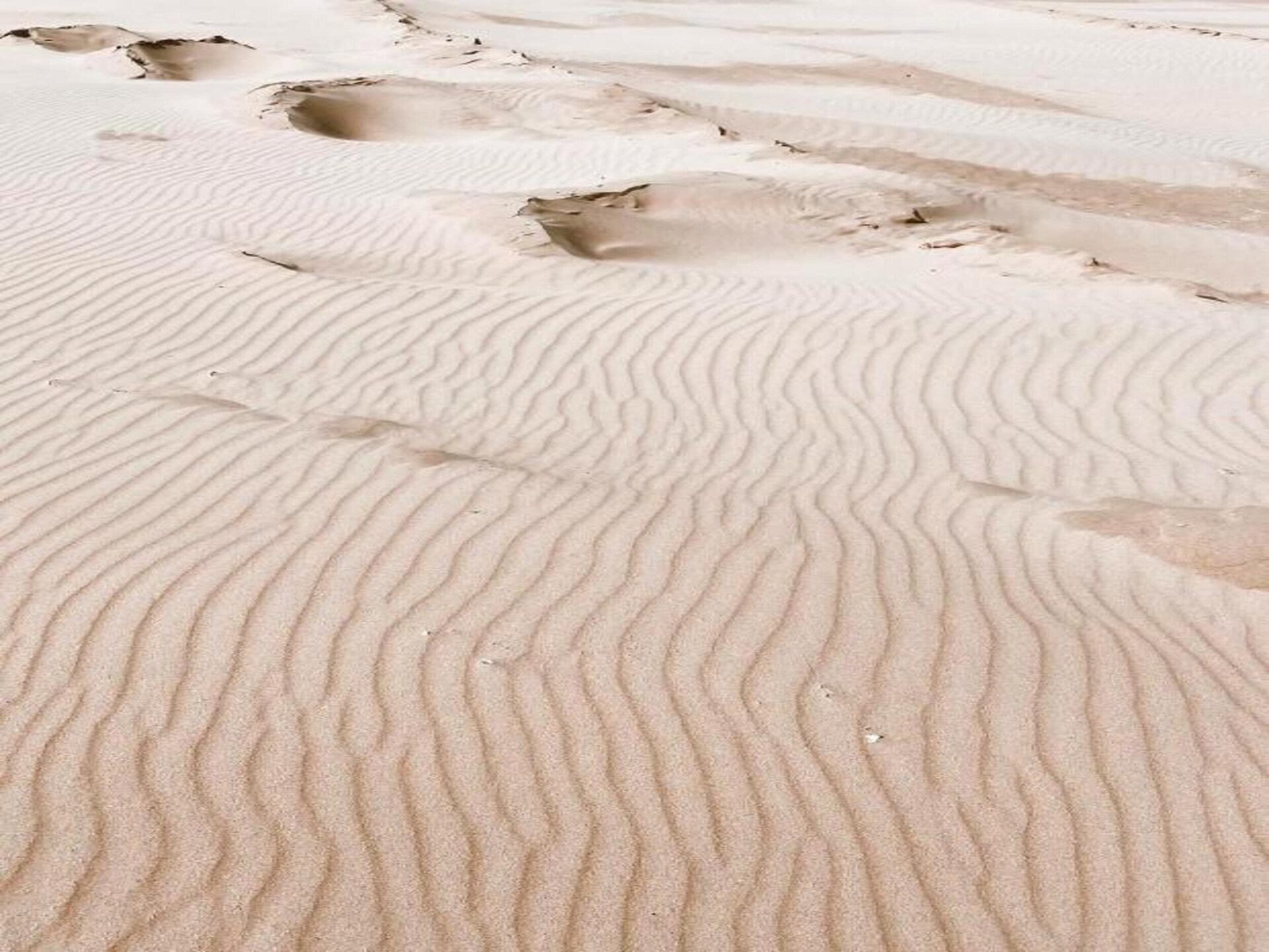 Vrijstaande bungalow aan Zuid-Hollandse kust, 1,2 km van zee - foto 32