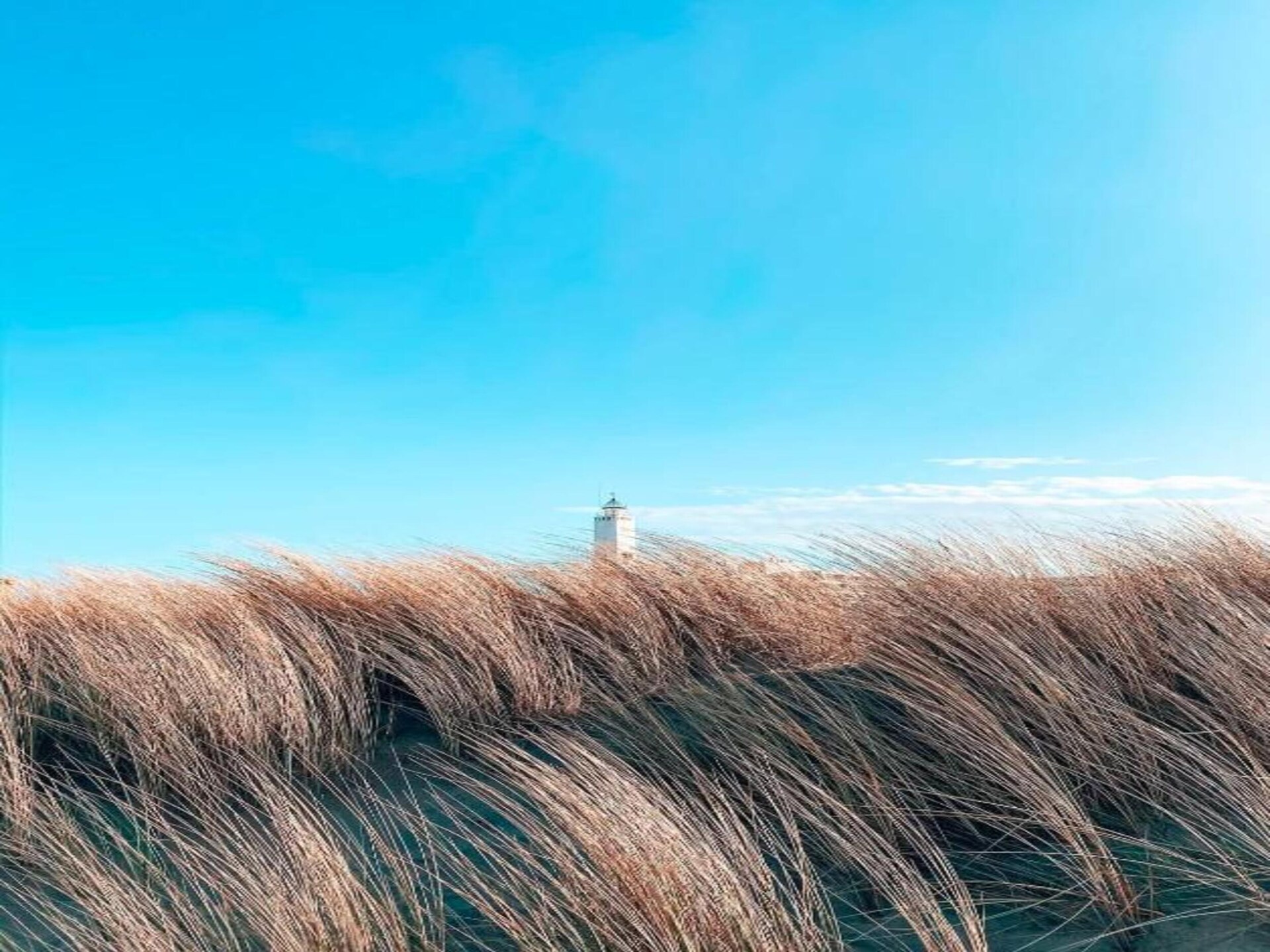 Vrijstaande bungalow aan Zuid-Hollandse kust, 1,2 km van zee - foto 30
