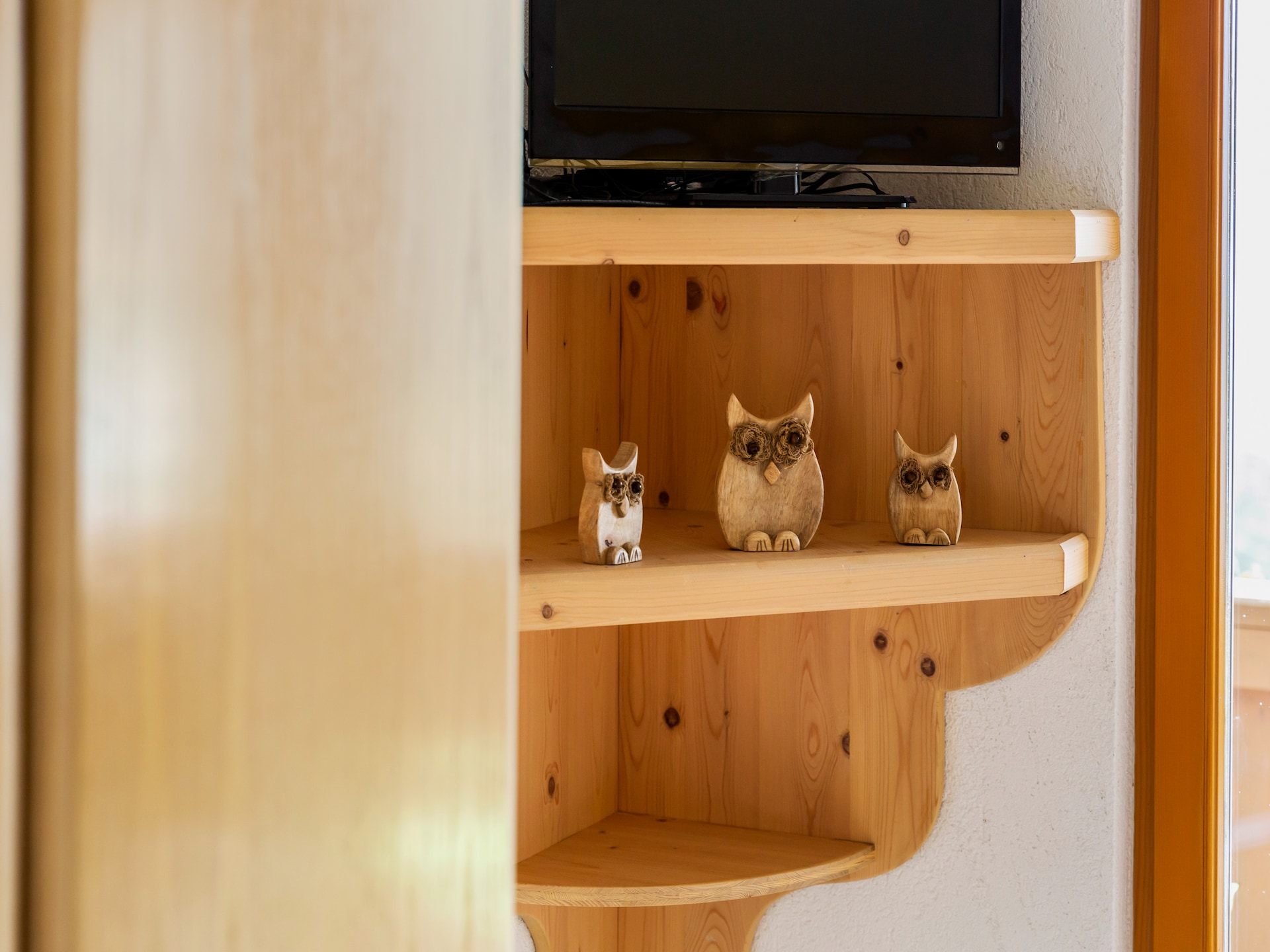Ruim appartement Entleitenhof L in Hollersbach im Pinzgau - foto 28