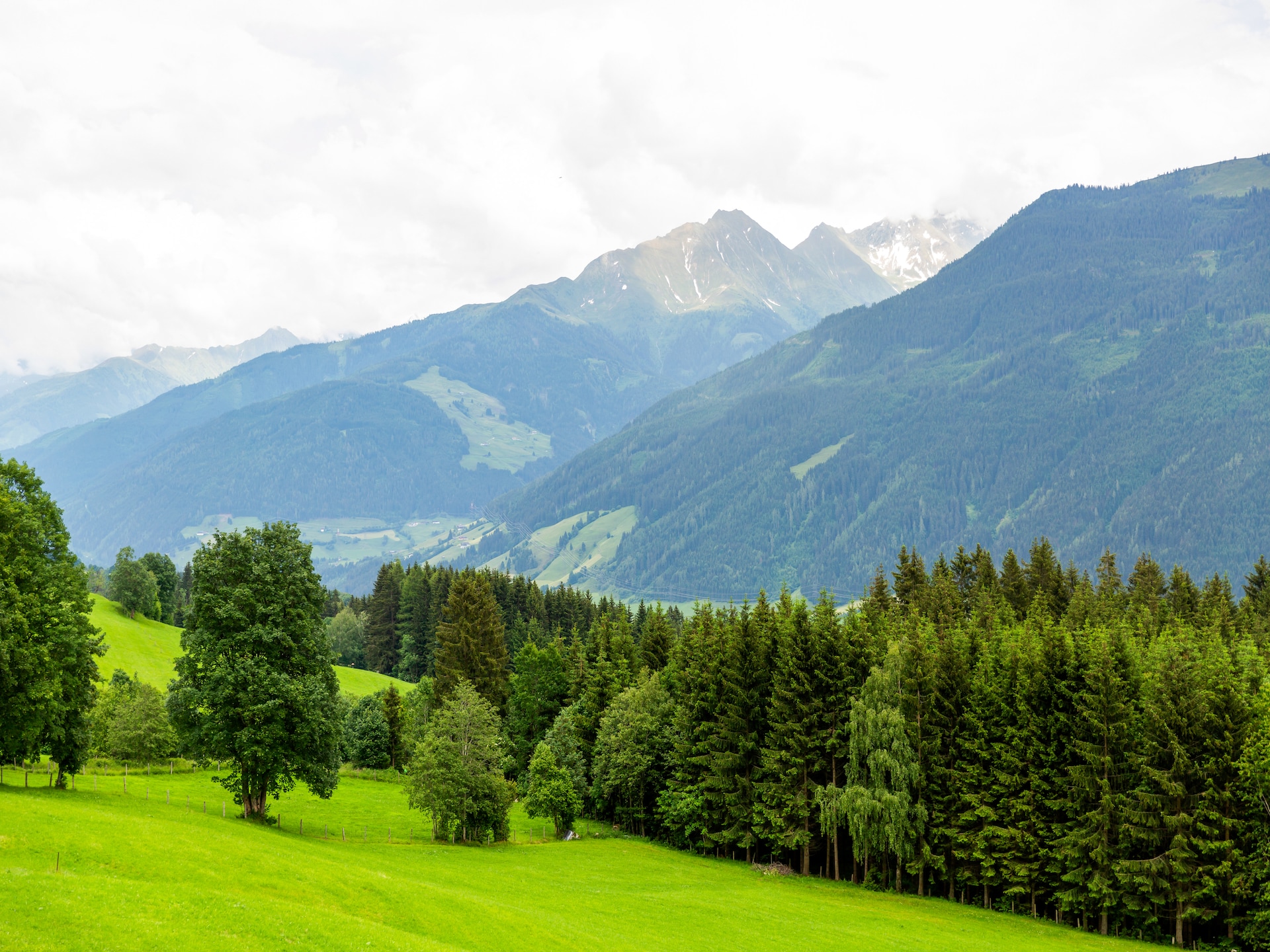 Ruim appartement Entleitenhof L in Hollersbach im Pinzgau - foto 24