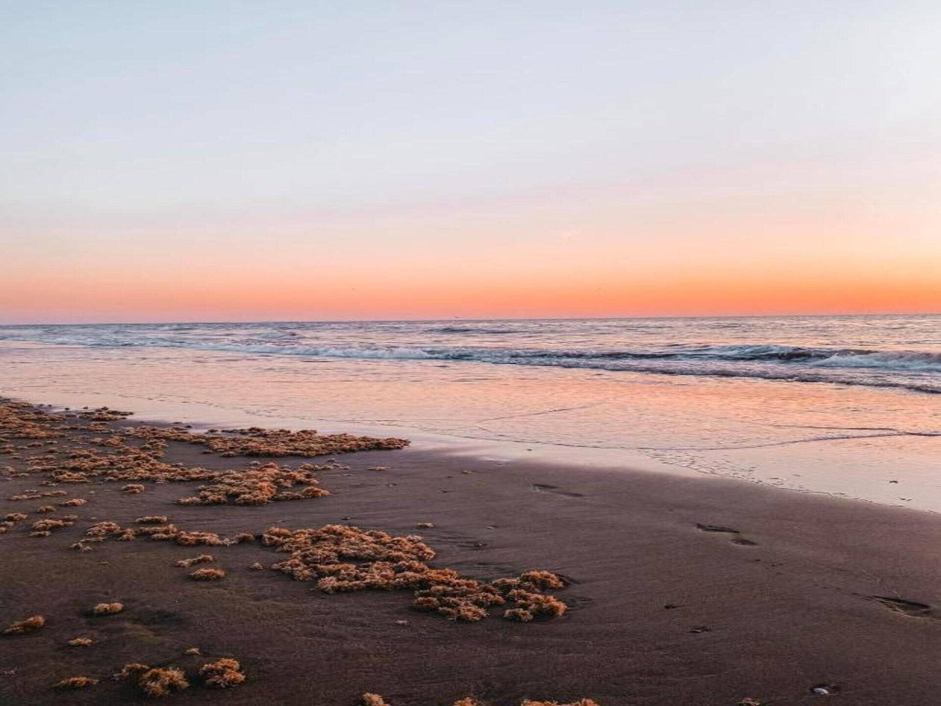 Ruim vrijstaand vakantiehuis voor 7 personen op 1,2 km van het strand - foto 36
