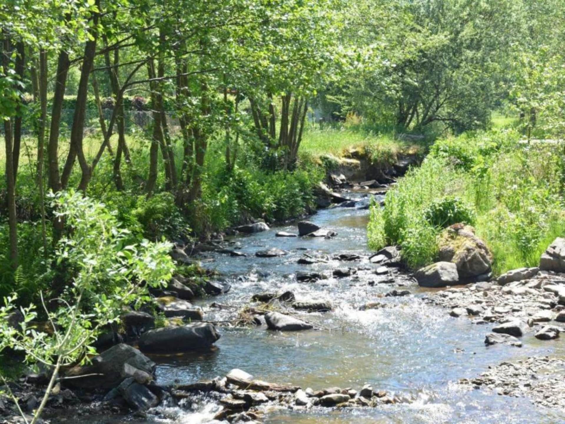 6-persoons vakantiehuis Chantemerle in rustig Vencimont - foto 38