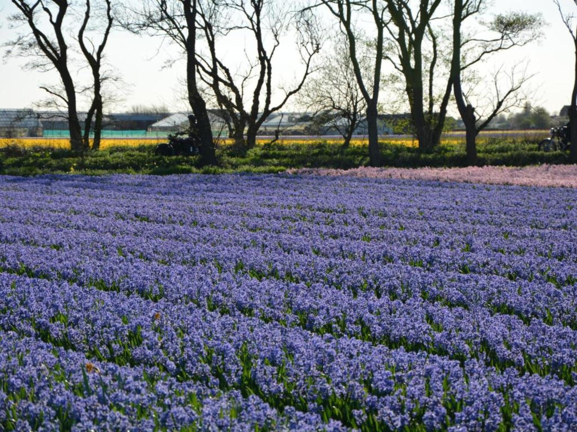 Luxe vrijstaand vakantiehuis aan meer in Noordwijkerhout met tuin - foto 38