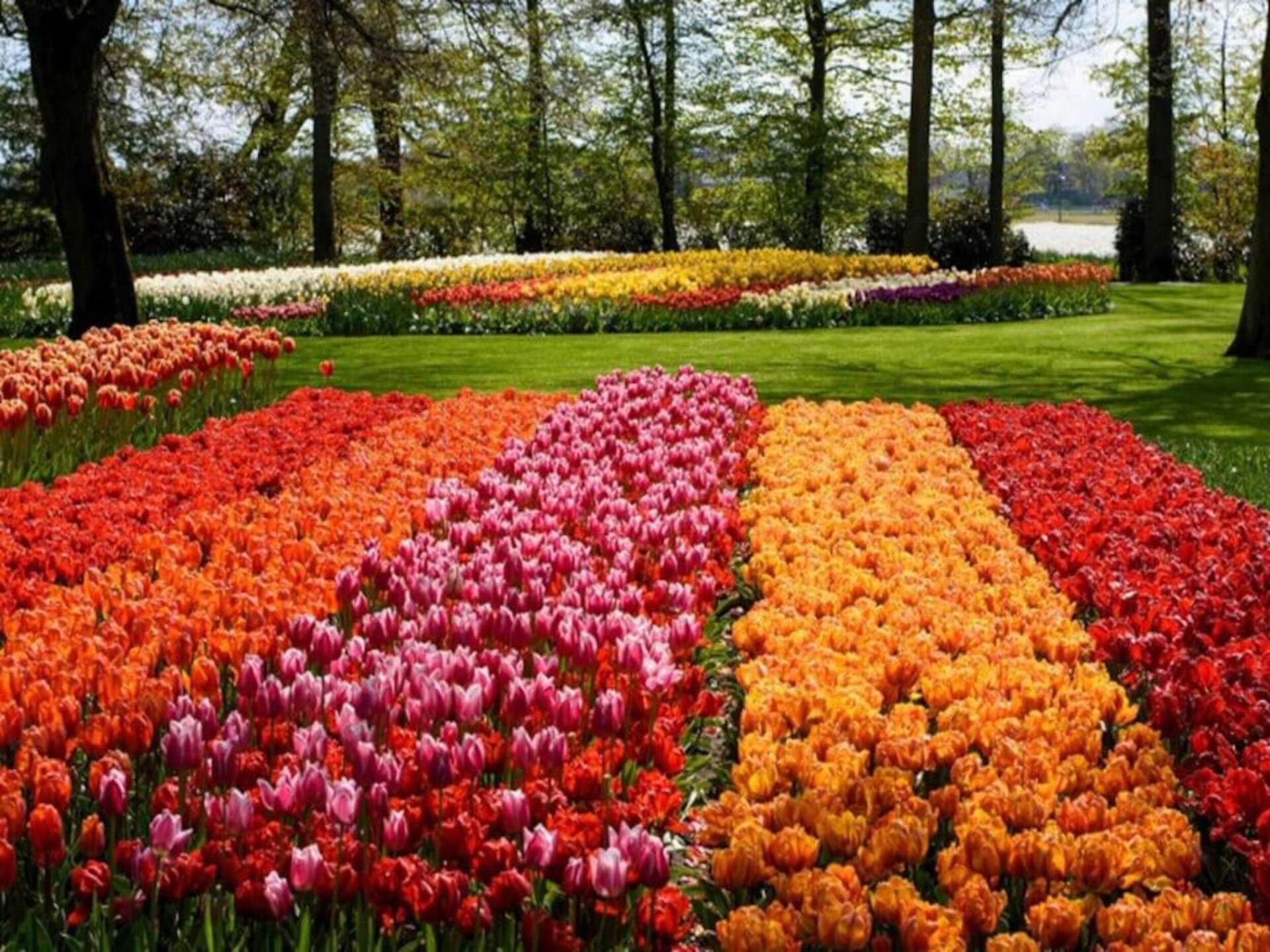 Luxe vrijstaand vakantiehuis aan meer in Noordwijkerhout met tuin - foto 35