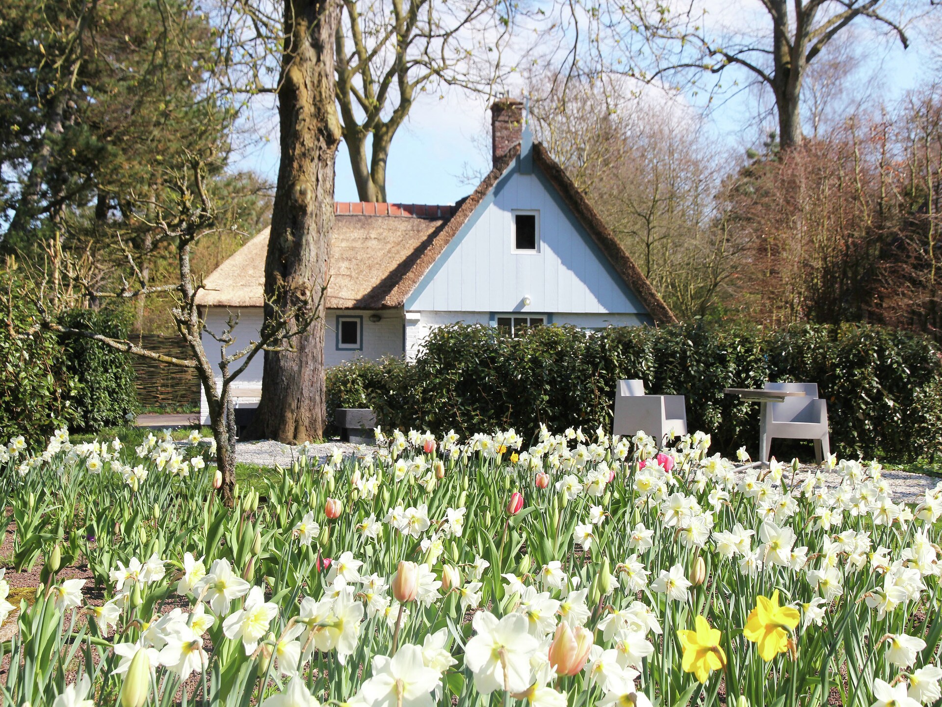 Romantisch boerderijtje uit 1840 in hartje Bergen - foto 7