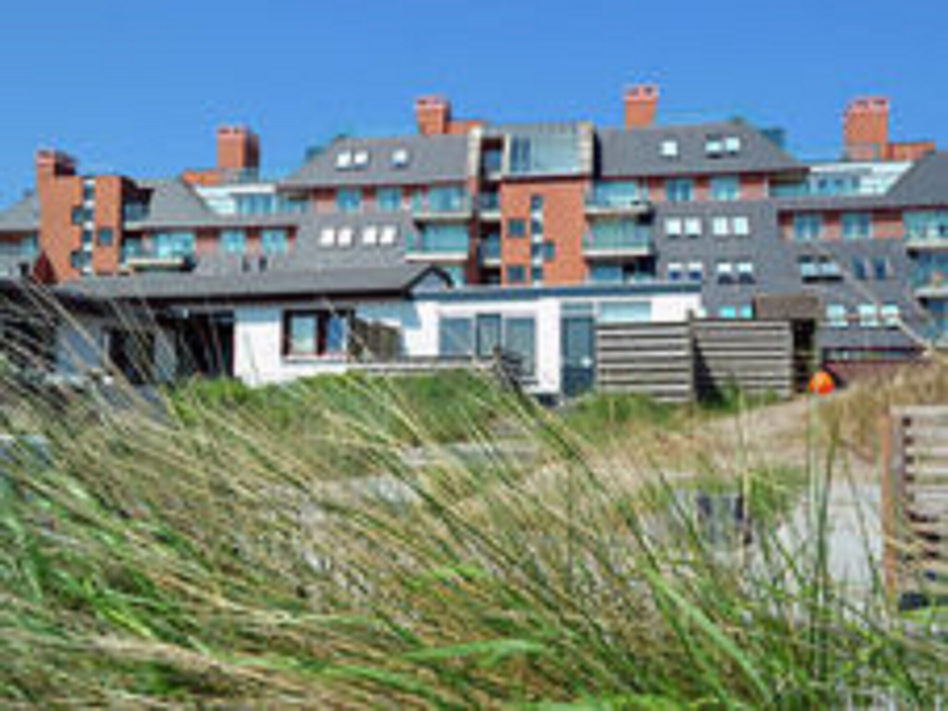 Helmgras II: Knus vakantiehuis op 100m van het strand in Egmond aan Zee - foto 8
