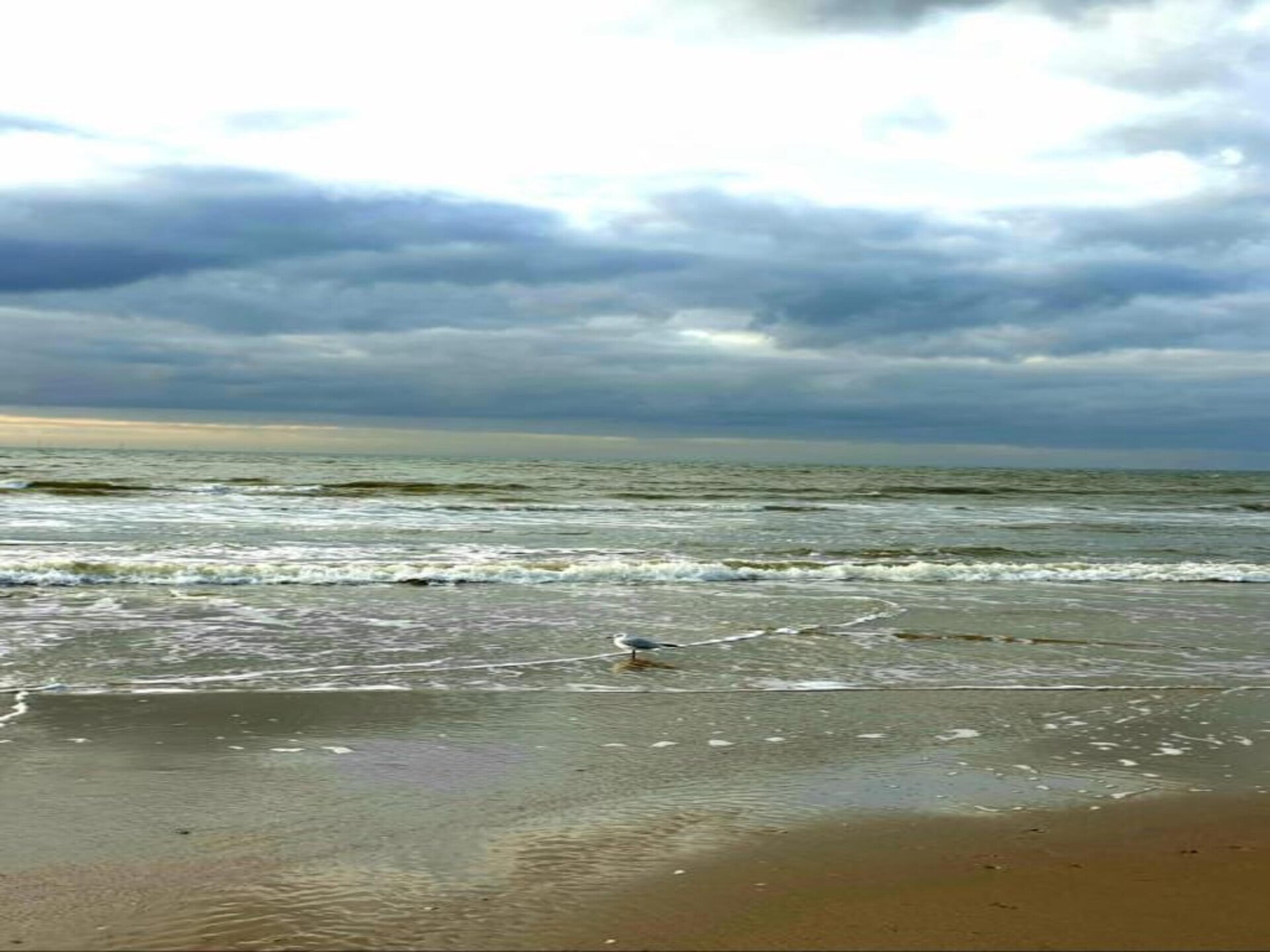 Helmgras II: Knus vakantiehuis op 100m van het strand in Egmond aan Zee - foto 23