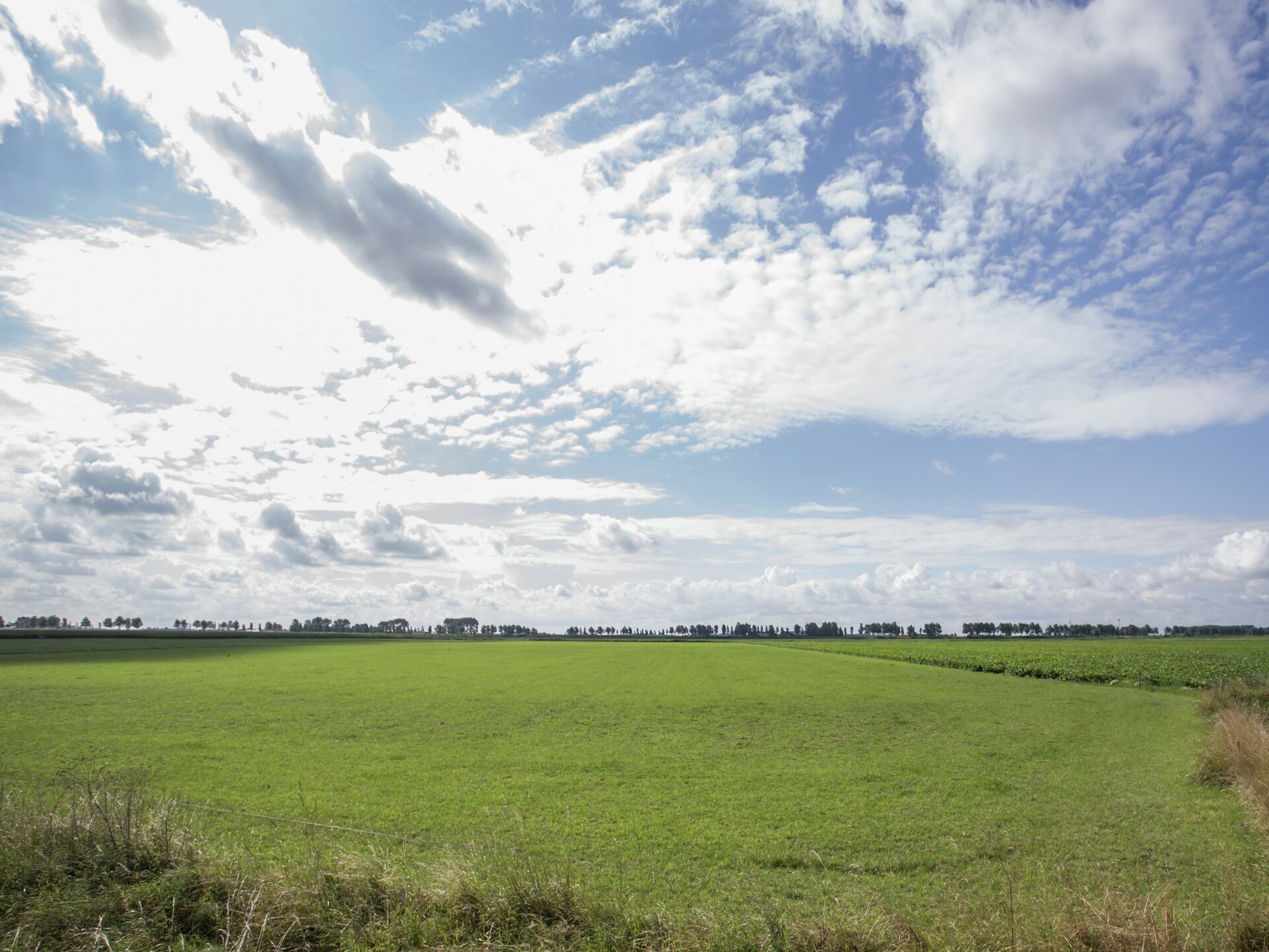 Ritthemse Pracht: Romantisch appartement tussen bos en strand - foto 32
