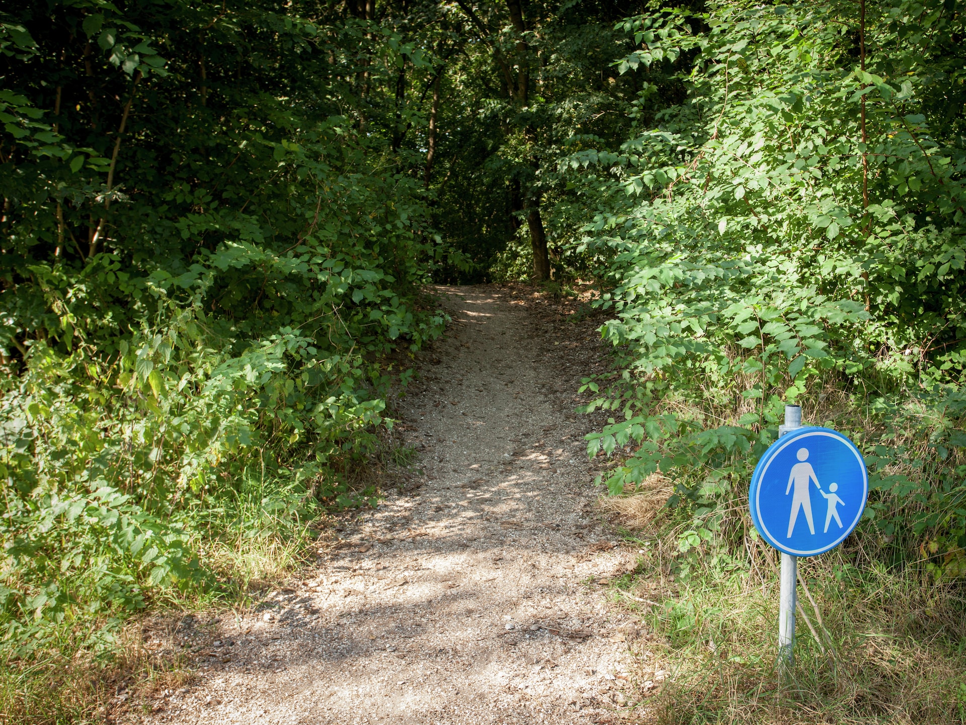 Cosa Nora: Vrijstaand vakantiehuis aan bos en meer in Noordwijkerhout - foto 19
