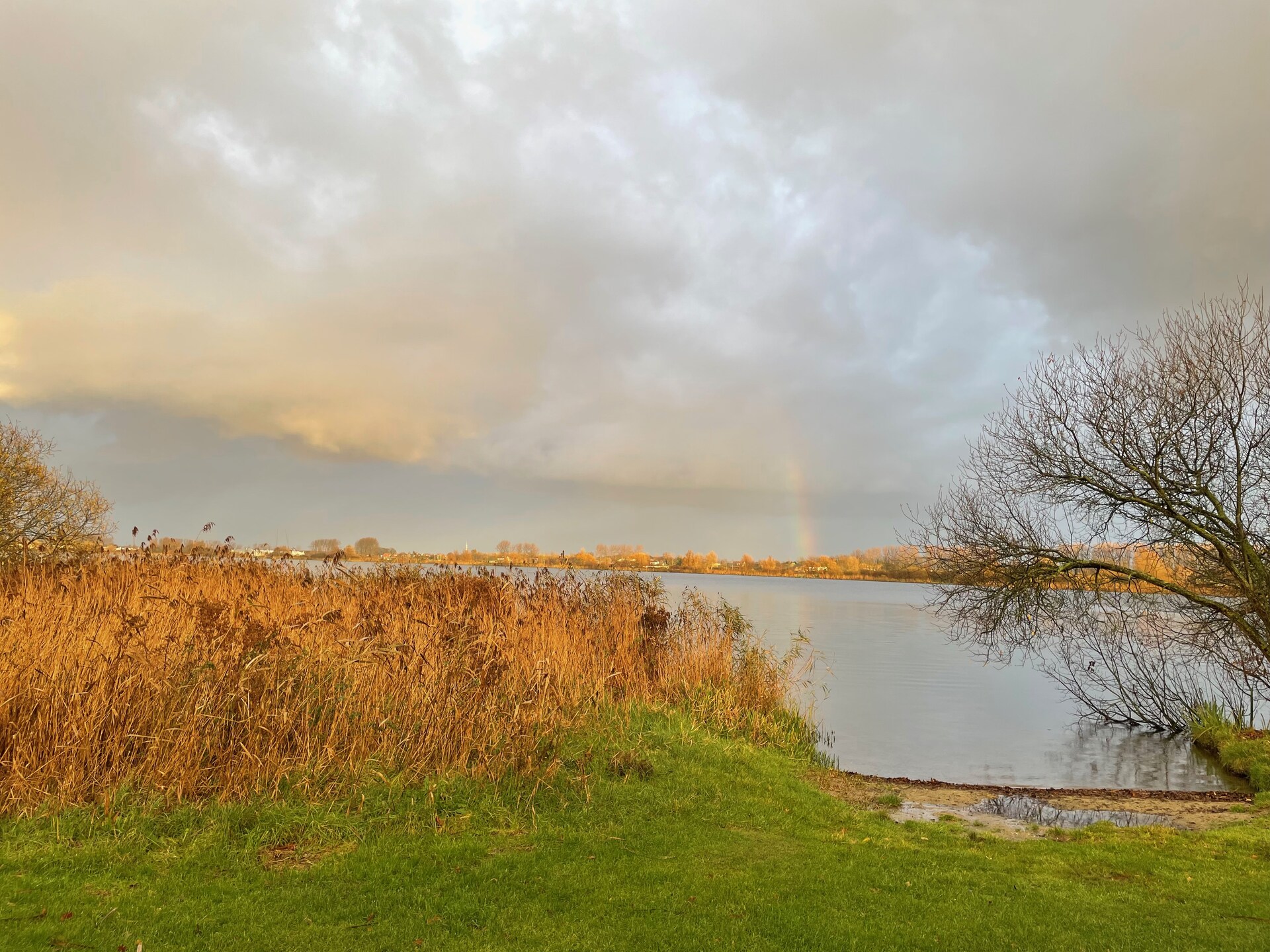 Cosa Nora: Vrijstaand vakantiehuis aan bos en meer in Noordwijkerhout - foto 40