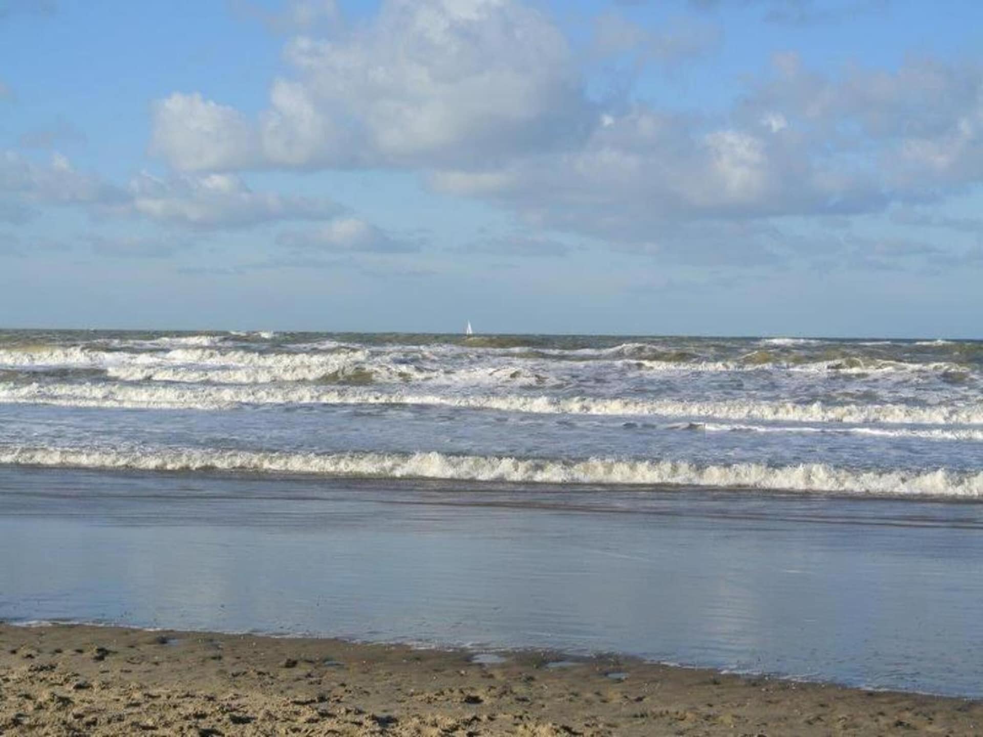 Cosa Nora: Vrijstaand vakantiehuis aan bos en meer in Noordwijkerhout - foto 30