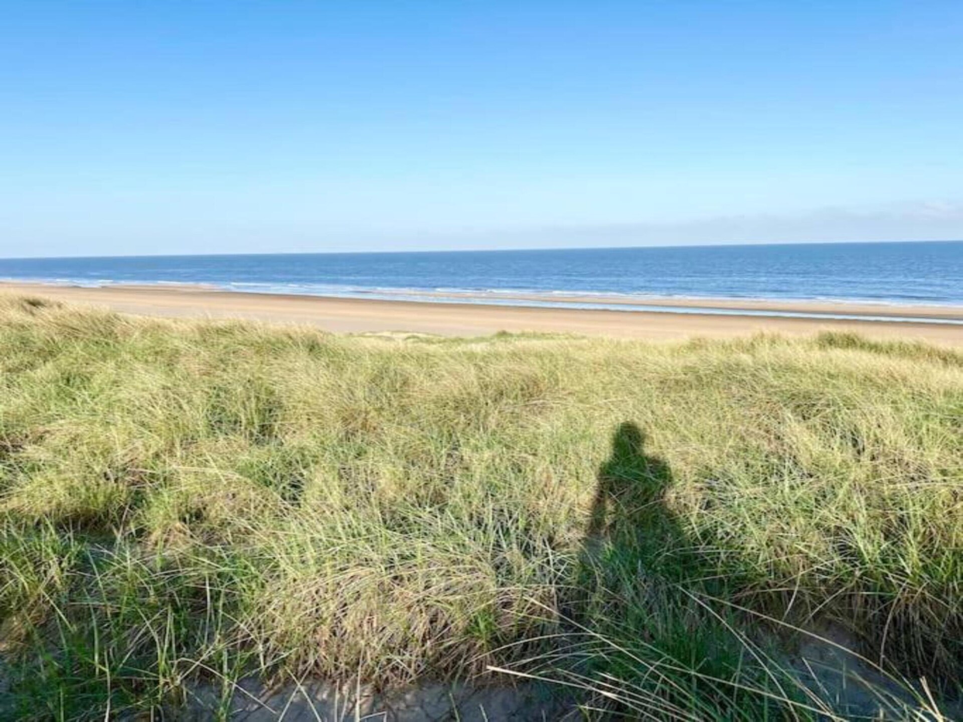 Cosa Nora: Vrijstaand vakantiehuis aan bos en meer in Noordwijkerhout - foto 34