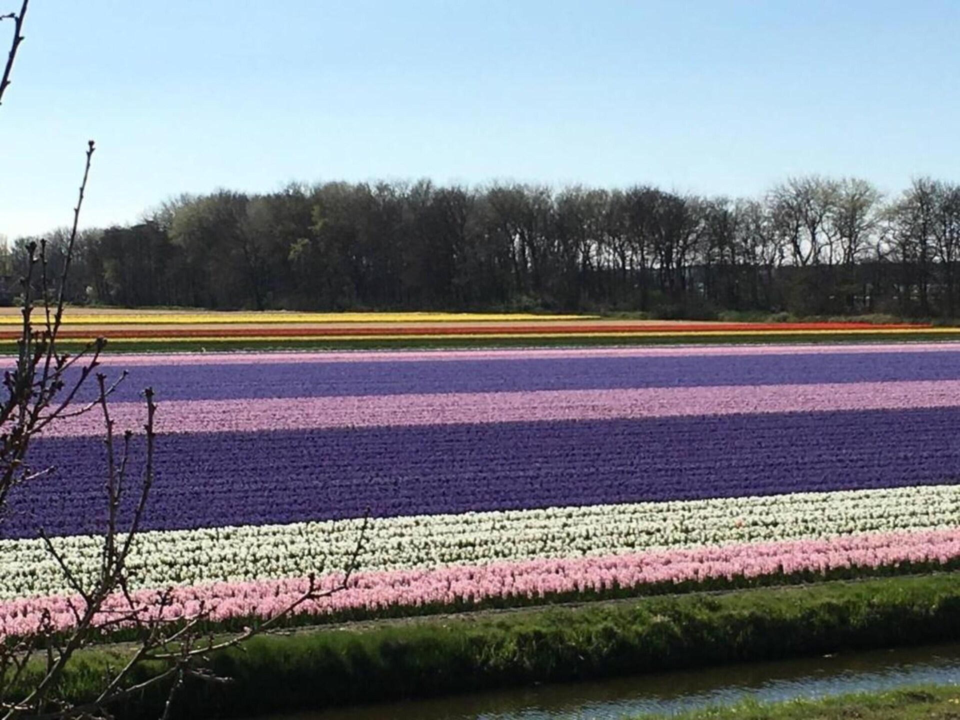 Cosa Nora: Vrijstaand vakantiehuis aan bos en meer in Noordwijkerhout - foto 38