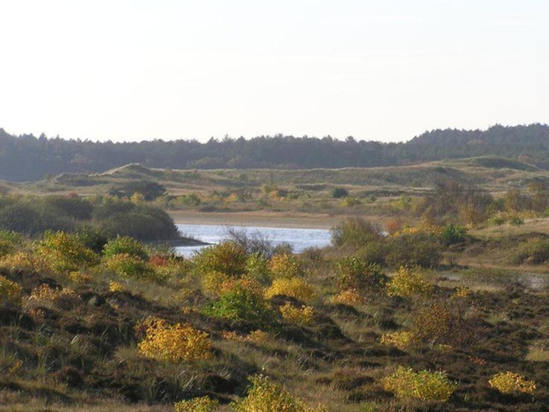Anna's Place: Gezellig vakantiehuis aan de bosrand in Schoorl - foto 29