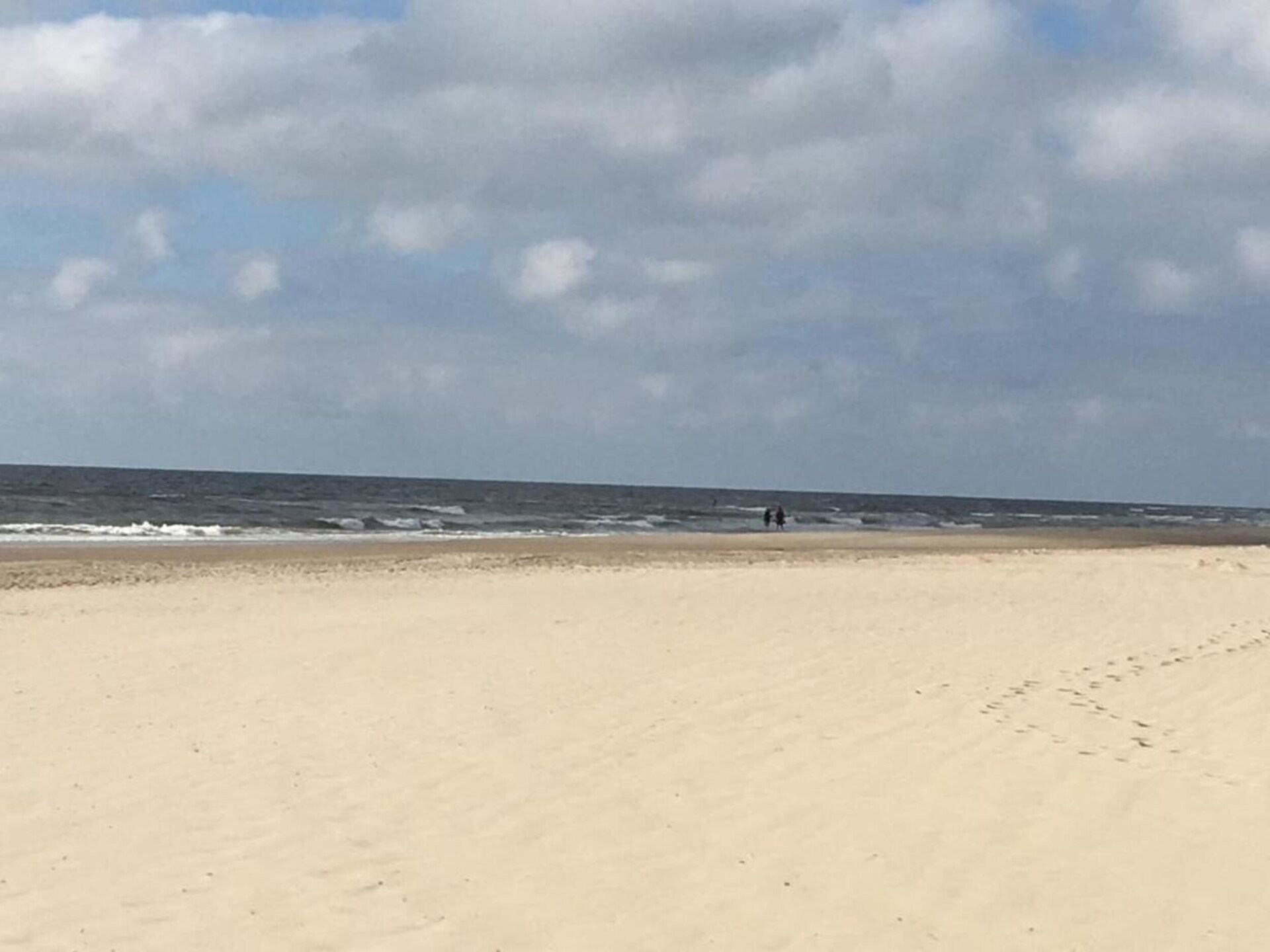 Anna's Place: Gezellig vakantiehuis aan de bosrand in Schoorl - foto 32