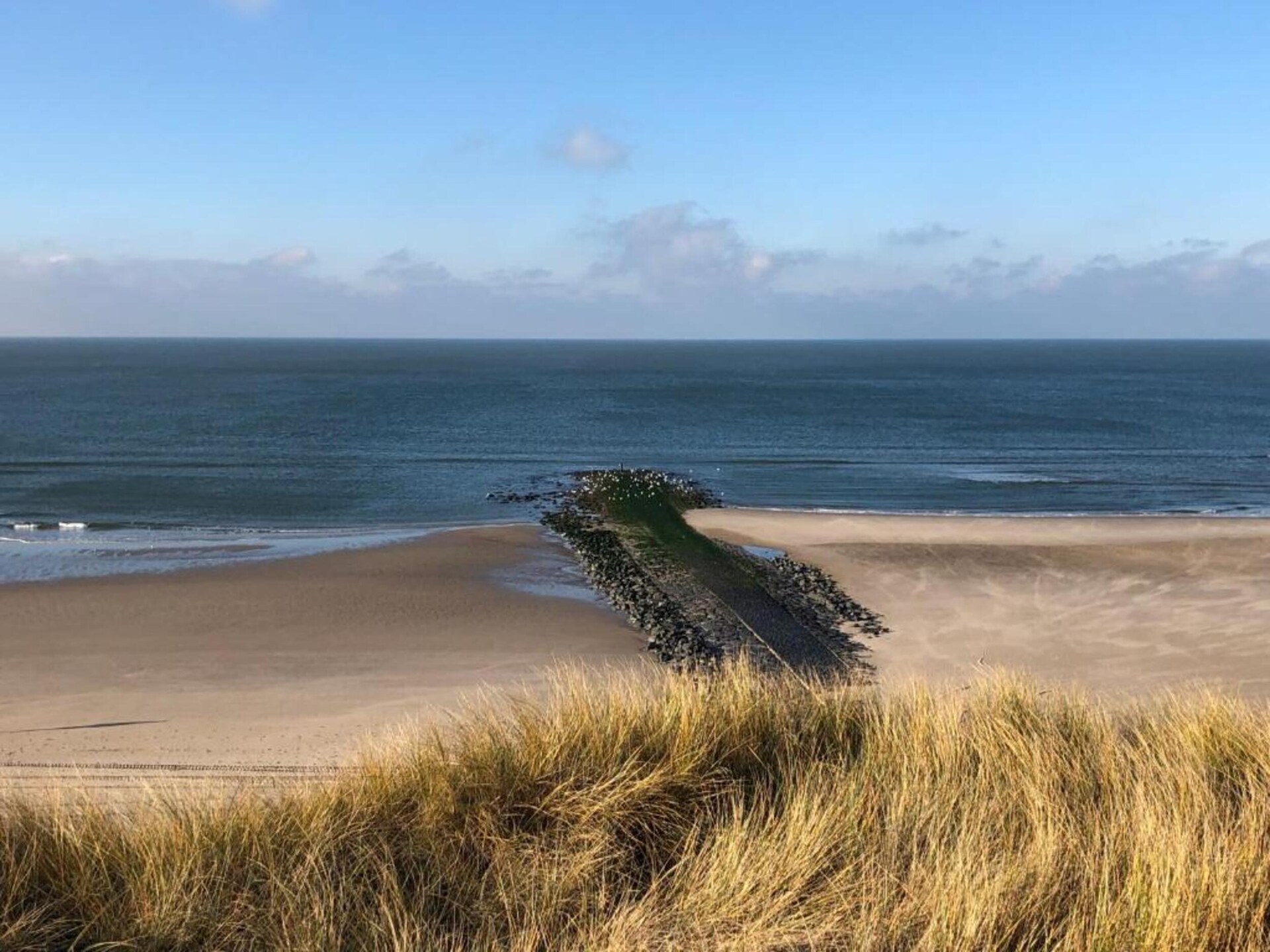 Anna's Place: Gezellig vakantiehuis aan de bosrand in Schoorl - foto 34