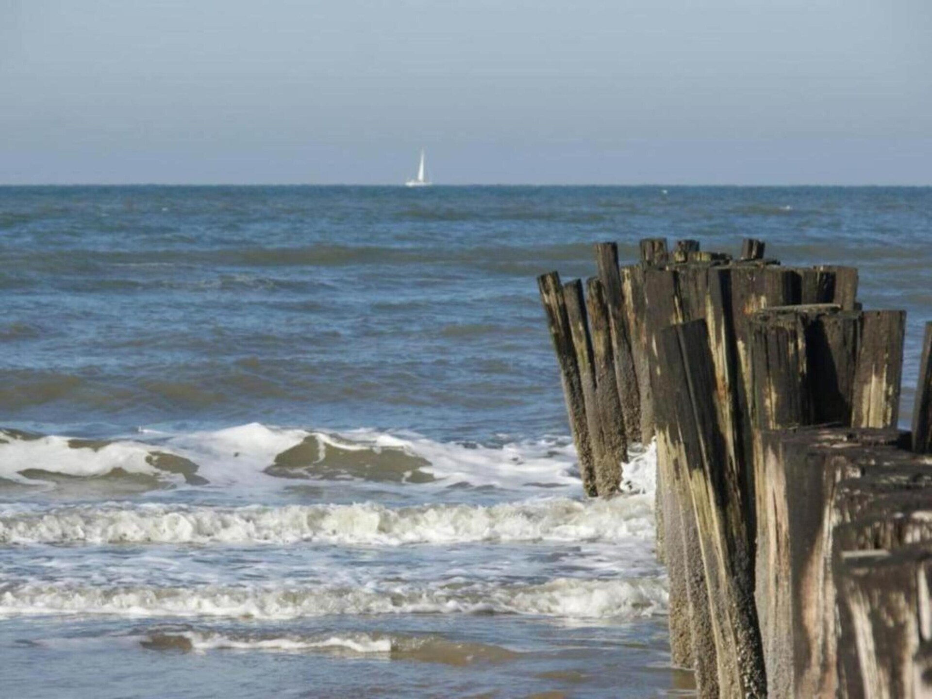 Anna's Place: Gezellig vakantiehuis aan de bosrand in Schoorl - foto 35