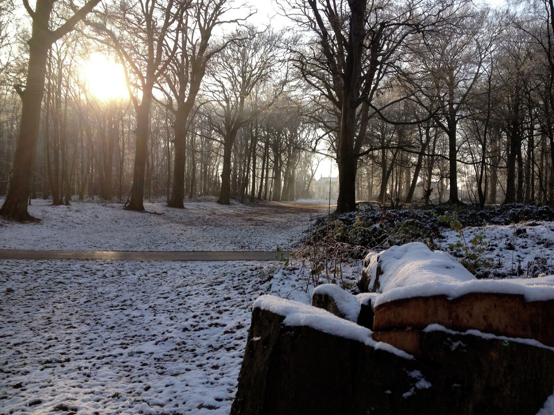 De Ronde O – Romantisch boshuis voor 2 personen in Heiloo - foto 23