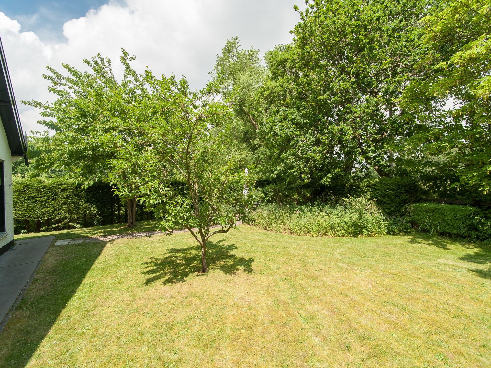 Wilca Hoeve: Knus vakantiehuis aan bos en duinen in Schoorl - foto 19
