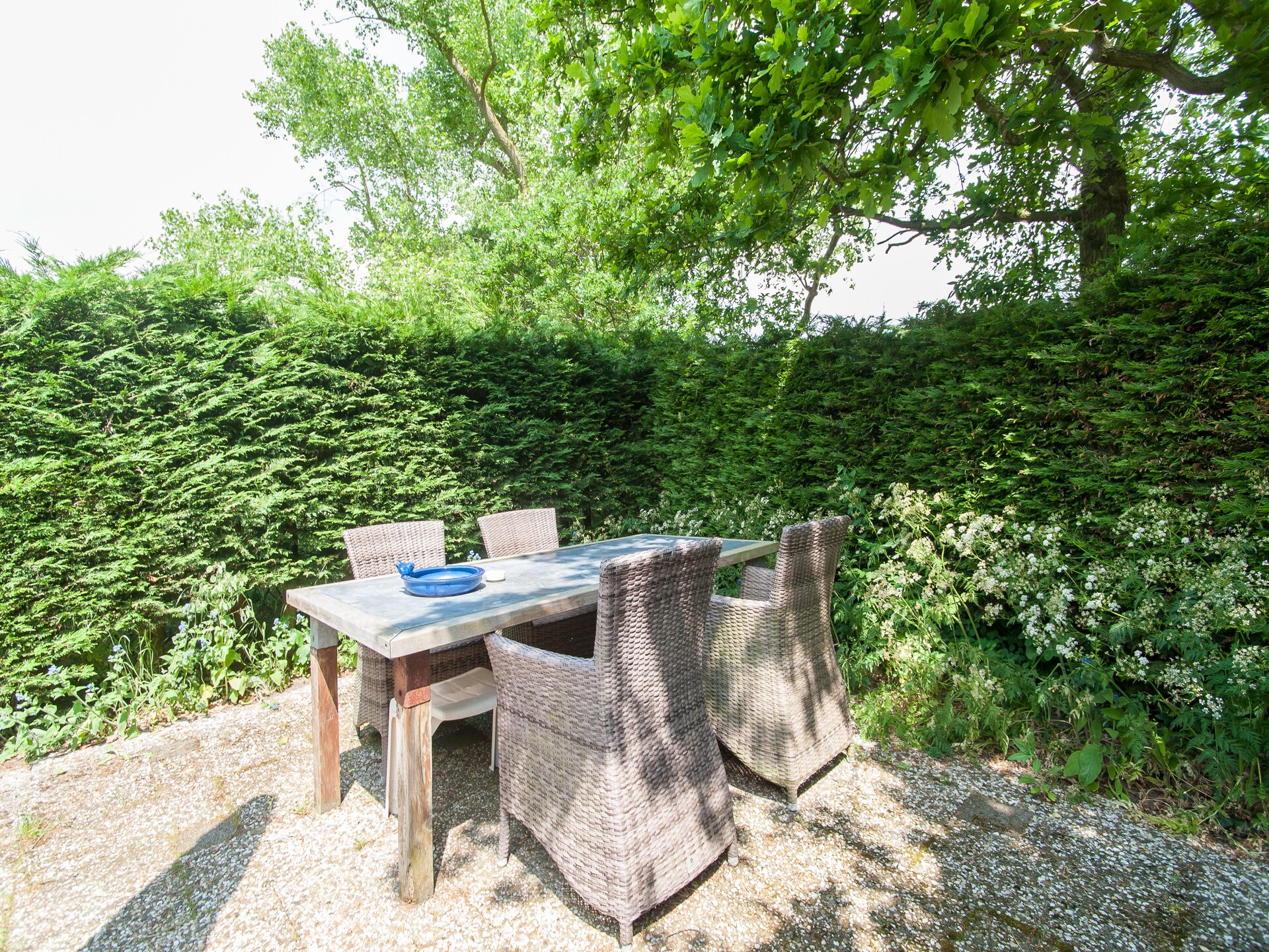Wilca Hoeve: Knus vakantiehuis aan bos en duinen in Schoorl - foto 18