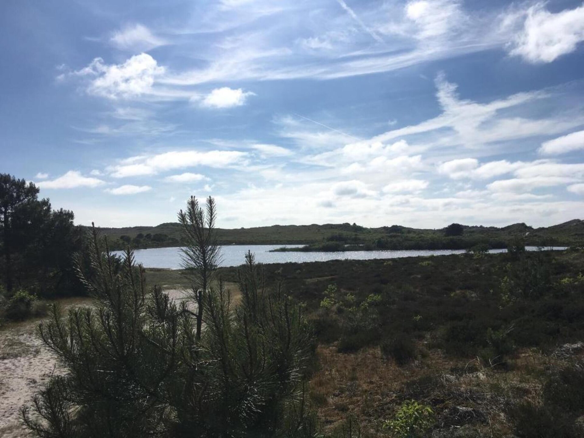Wilca Hoeve: Knus vakantiehuis aan bos en duinen in Schoorl - foto 33