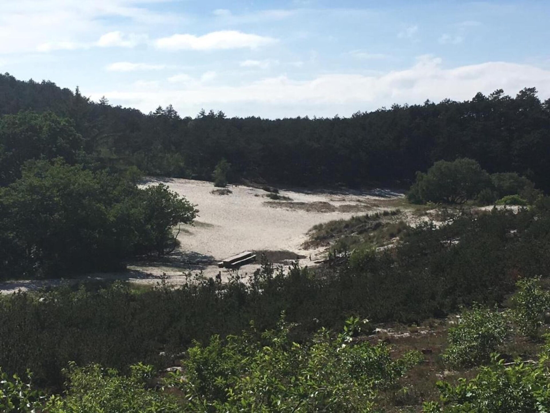 Wilca Hoeve: Knus vakantiehuis aan bos en duinen in Schoorl - foto 38