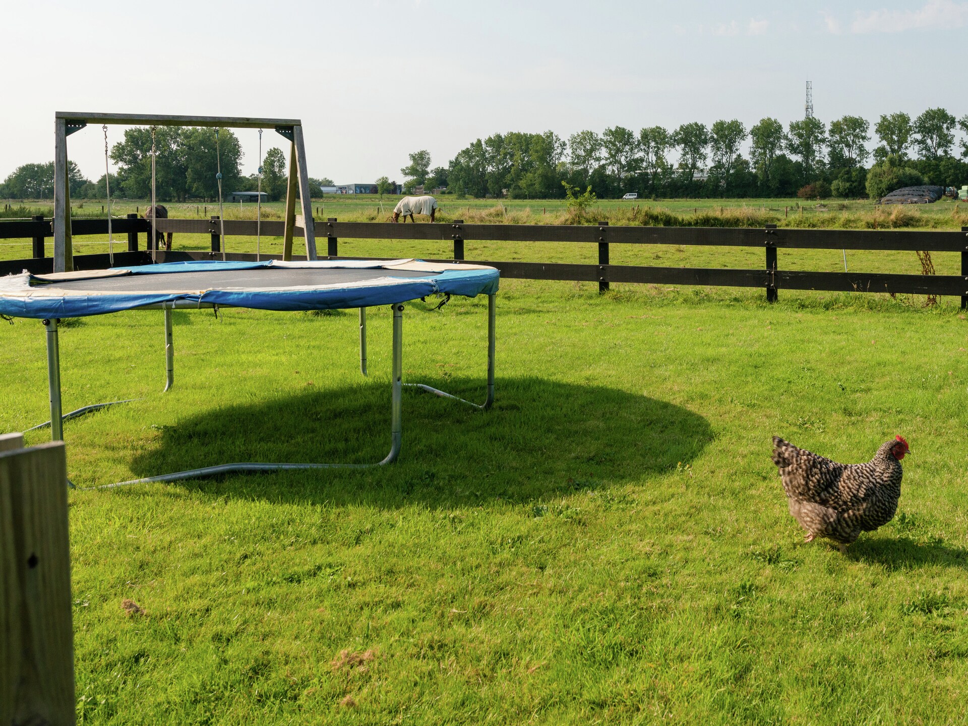 De Grutto: Ruim vakantiehuis met tuin nabij strand en Waddenzee - foto 24
