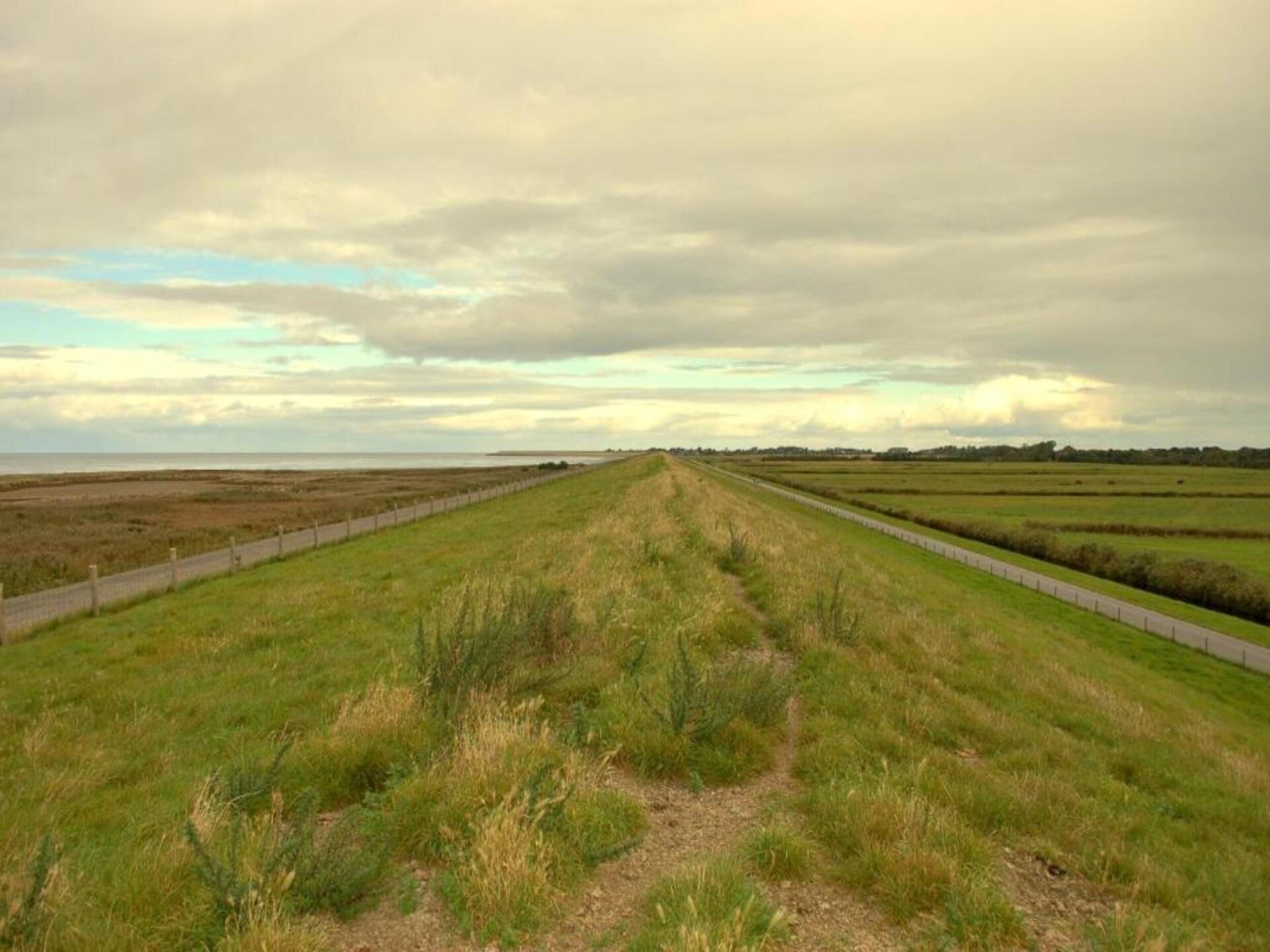 De Grutto: Ruim vakantiehuis met tuin nabij strand en Waddenzee - foto 36