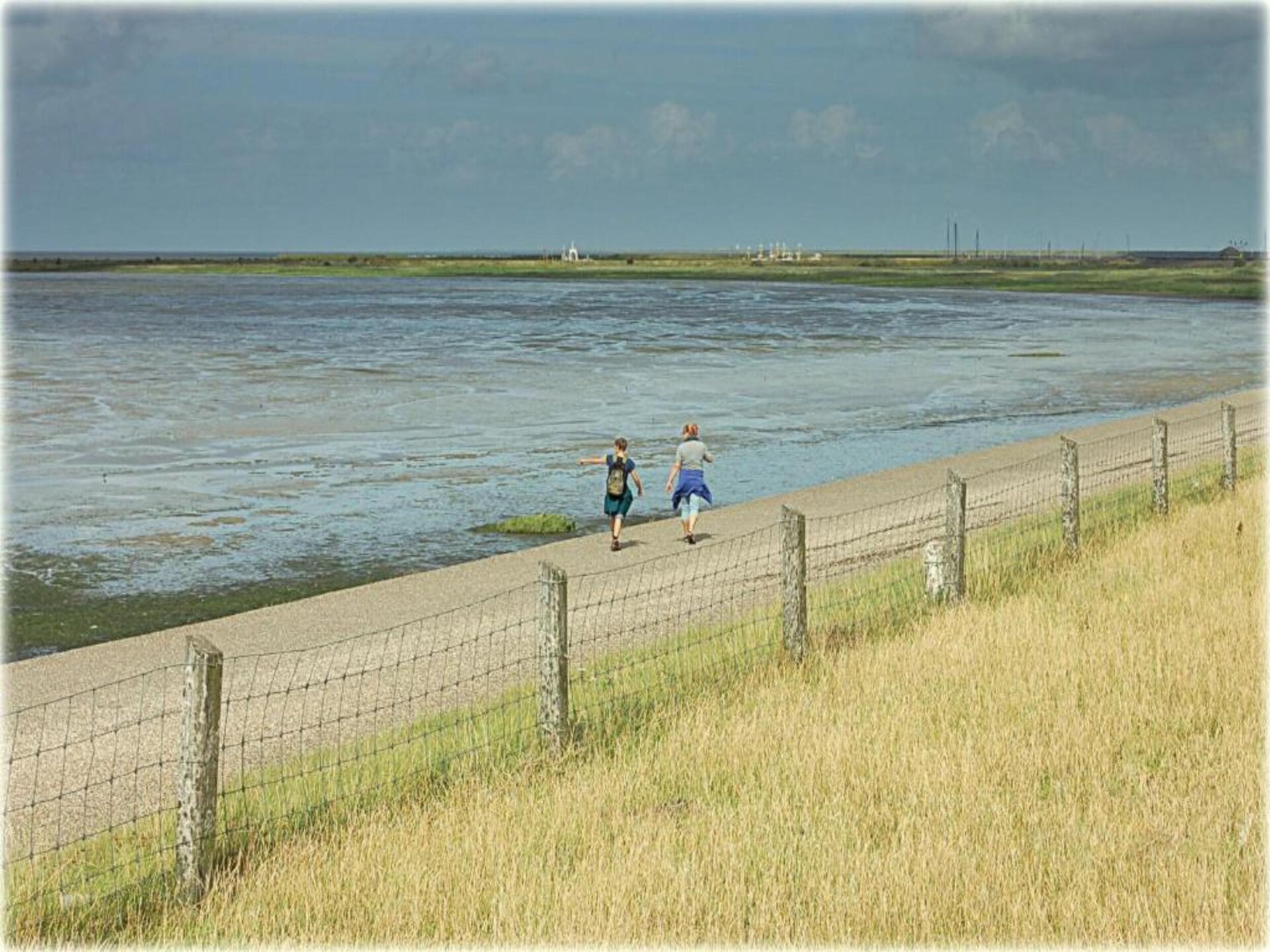 De Grutto: Ruim vakantiehuis met tuin nabij strand en Waddenzee - foto 34
